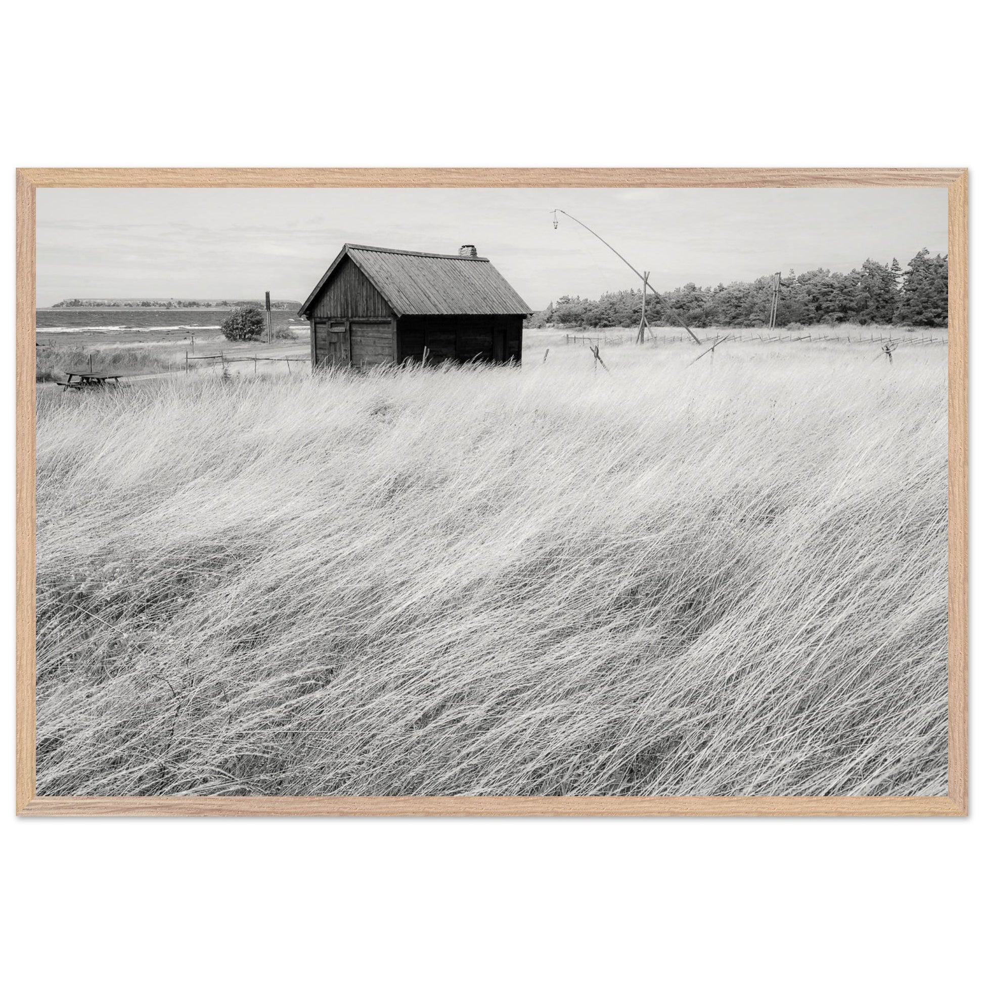 3ef8c3e3-b6f9-4d21-839e-1d46444f25a9