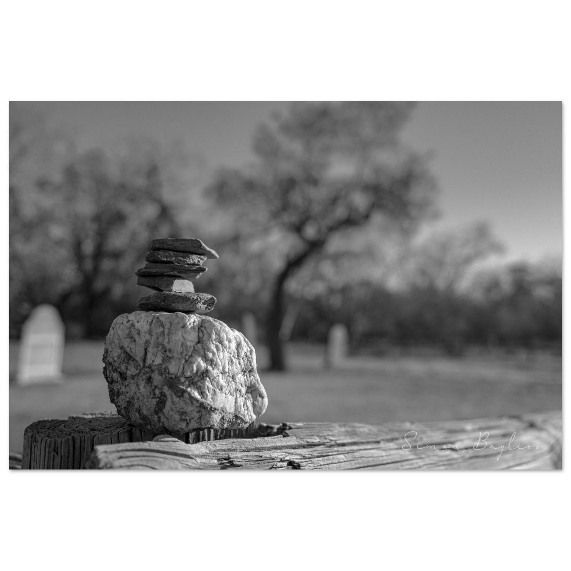 3f1b72e6-1157-4578-a3b2-60d5c6fc1f5d