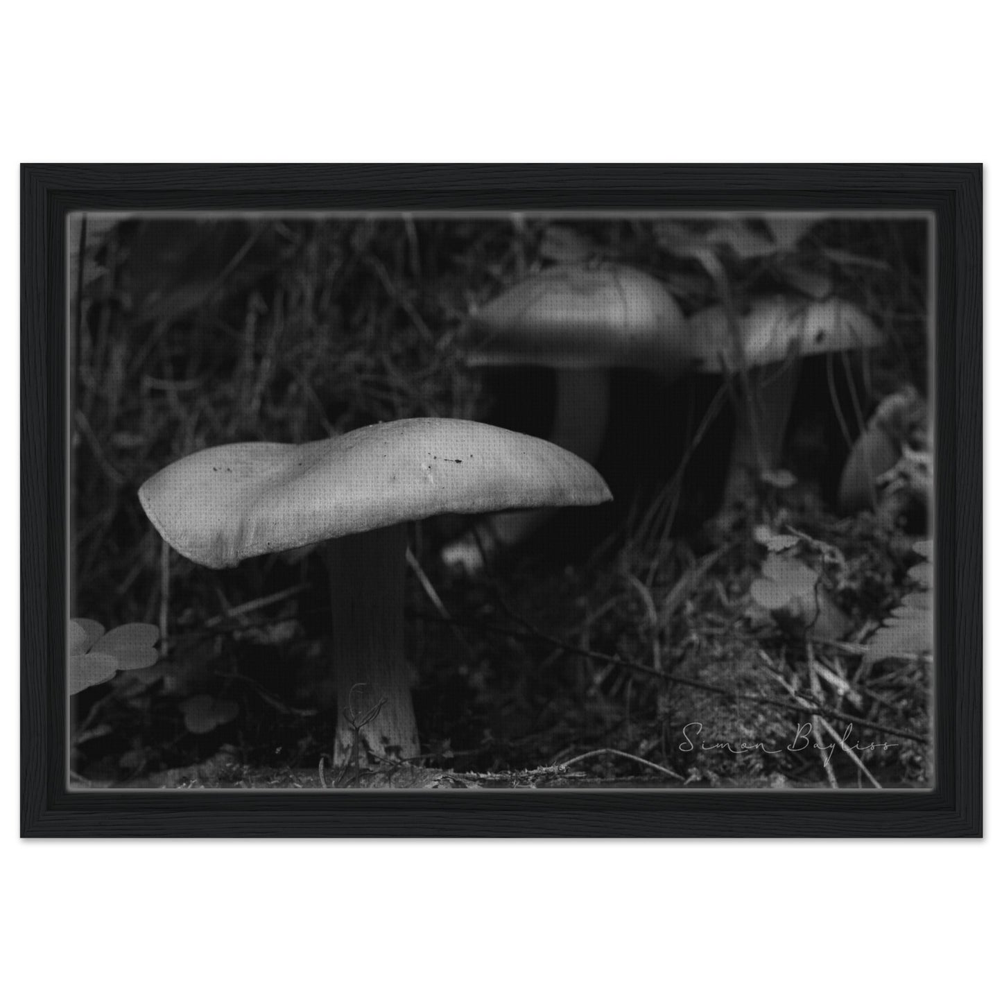 3f37e6a2-5e65-4ee9-863c-dddcaf037beb