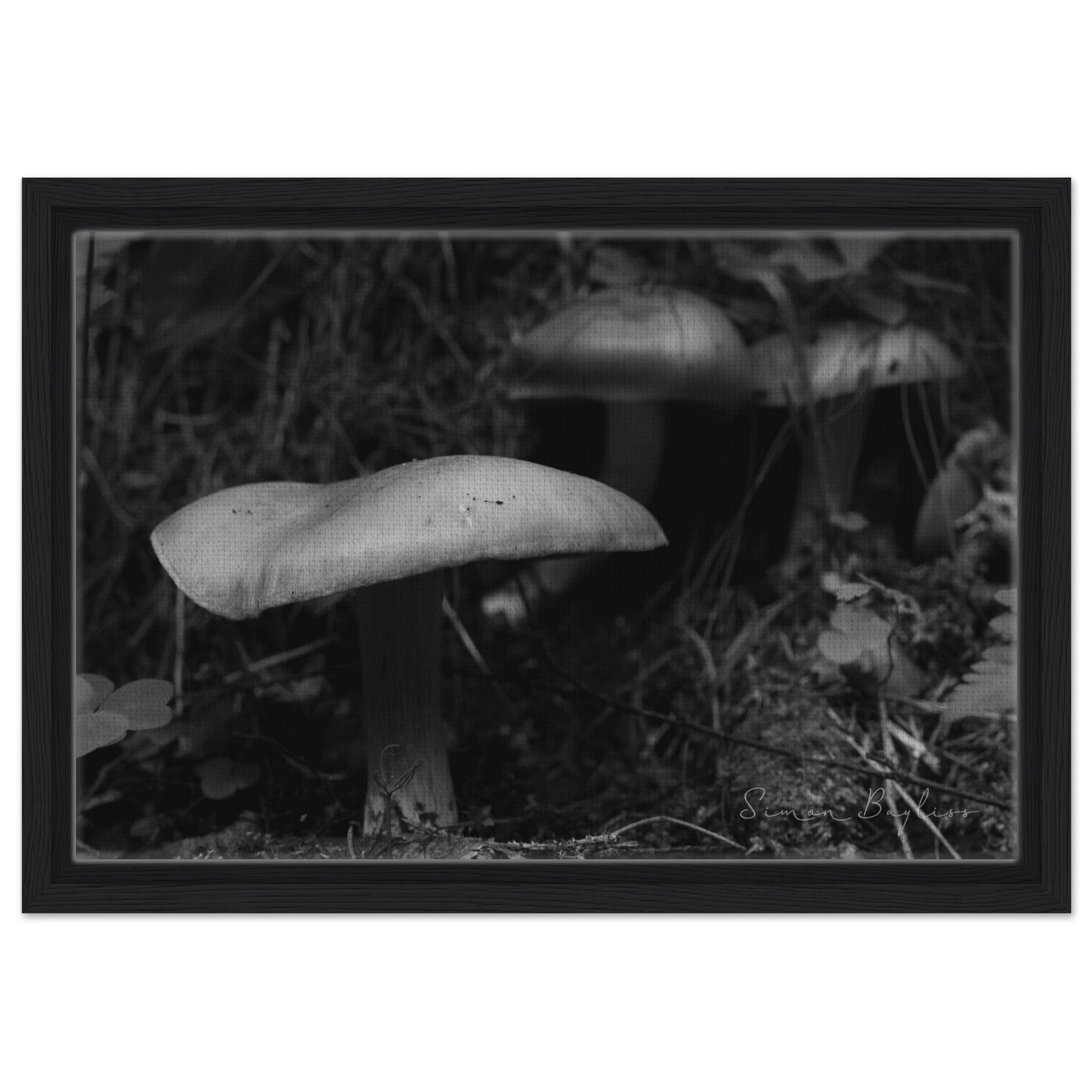 3f37e6a2-5e65-4ee9-863c-dddcaf037beb