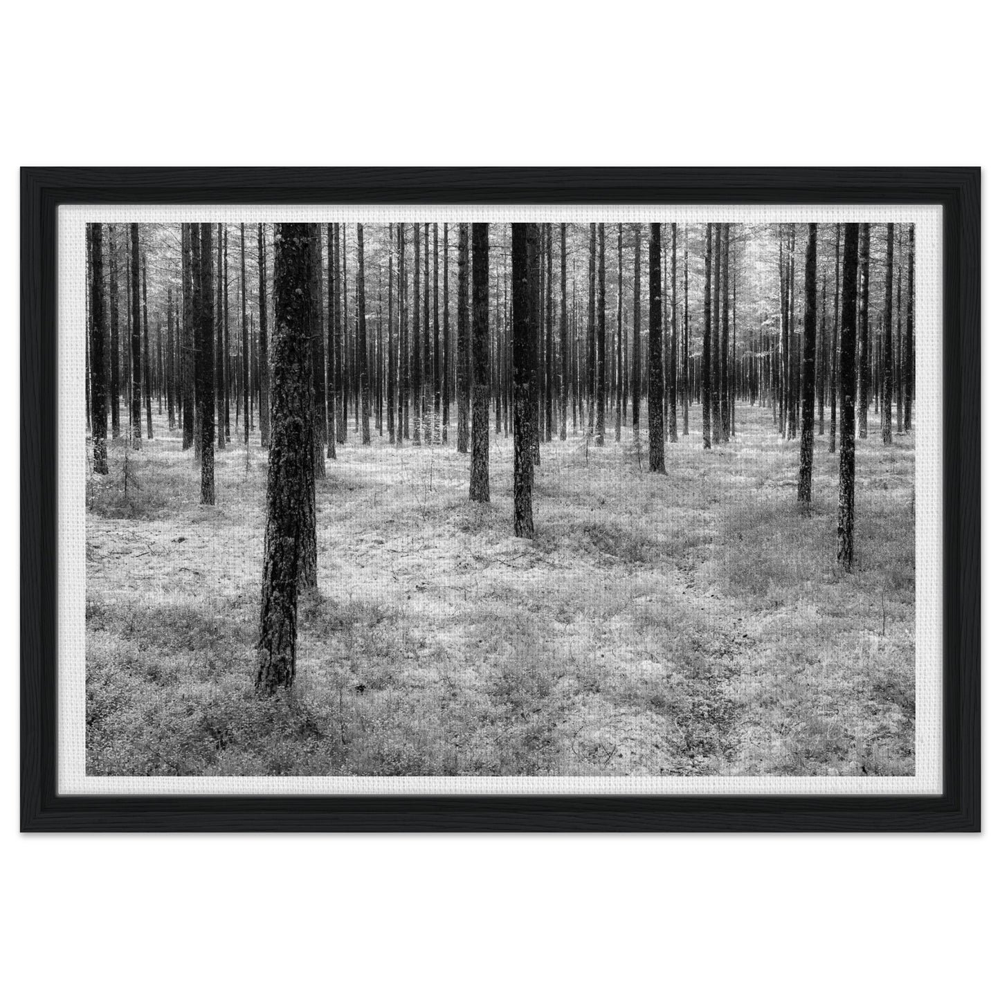 3f43fc75-be13-4eb6-be48-22c42c1a5954