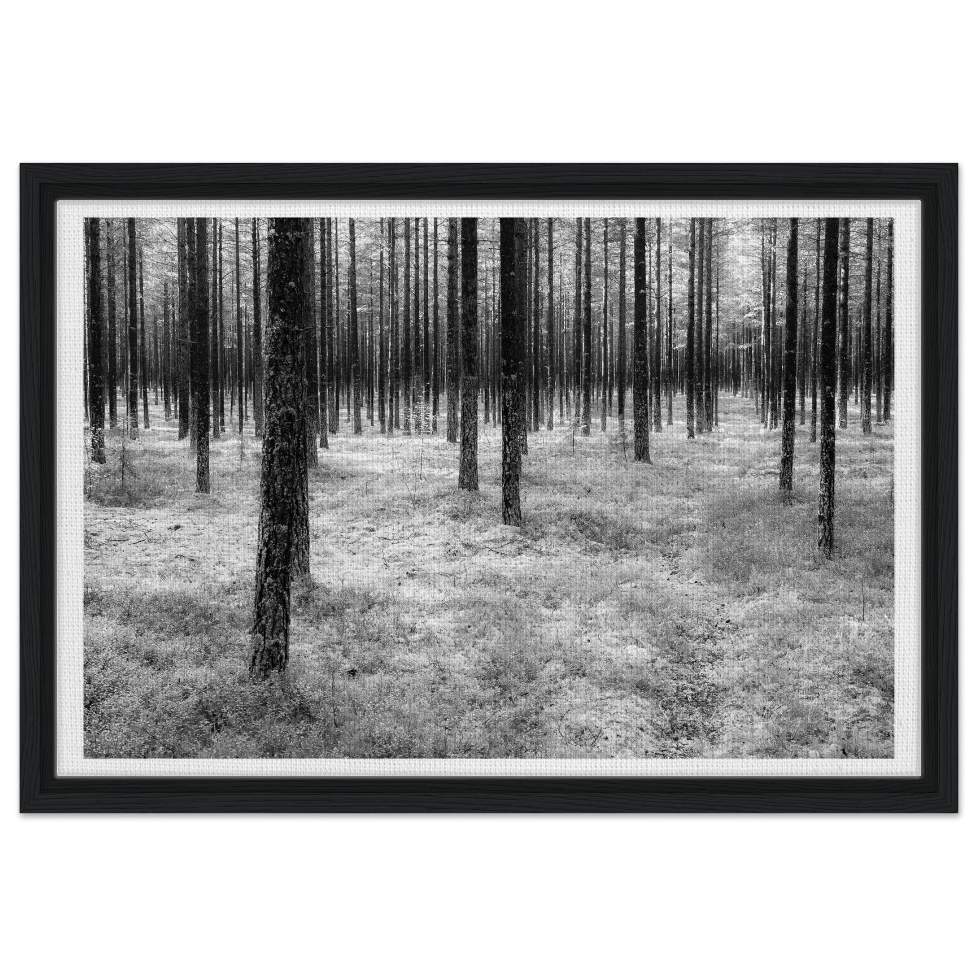 3f43fc75-be13-4eb6-be48-22c42c1a5954