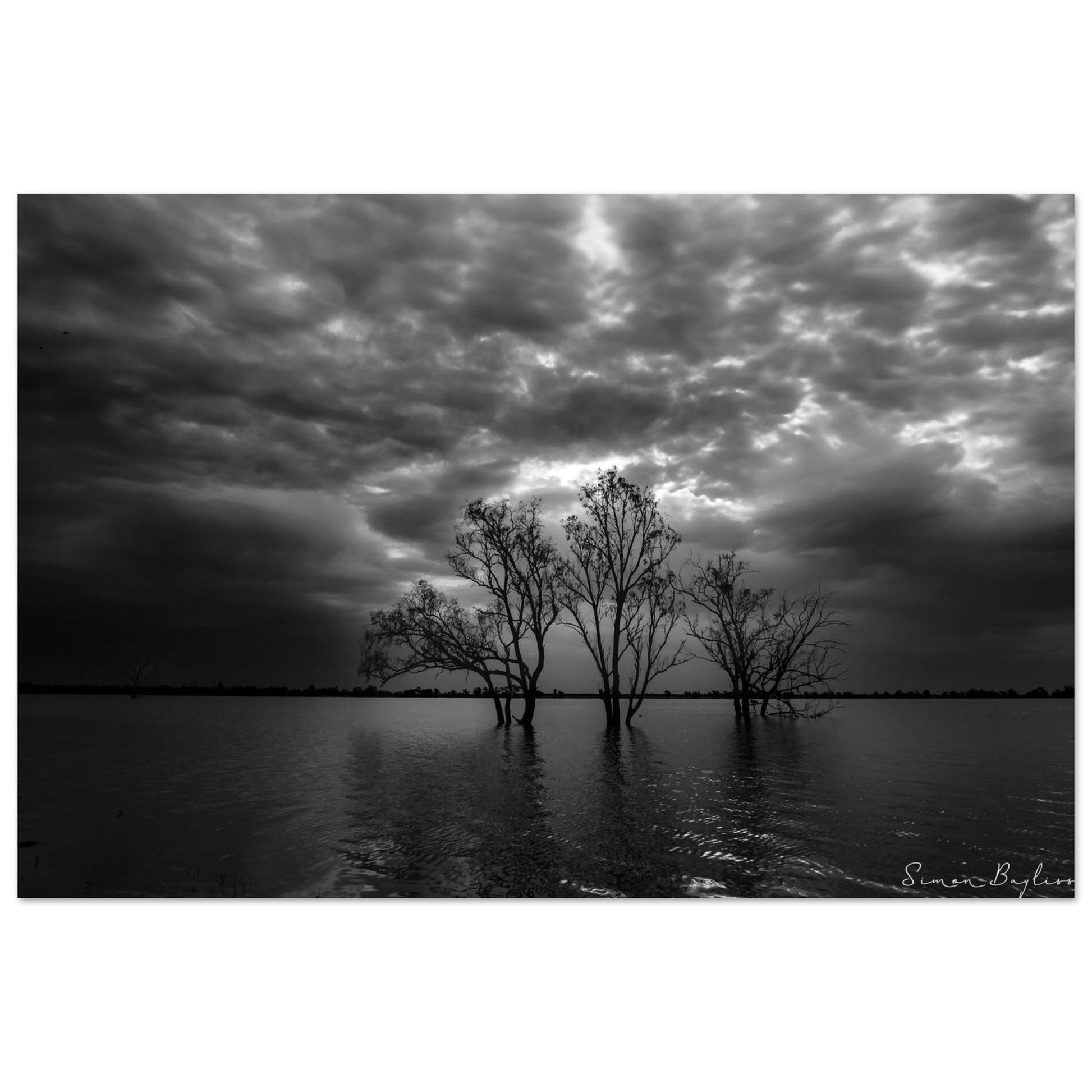 40279059-8adb-46c3-b7d1-a906fd2d1c3e