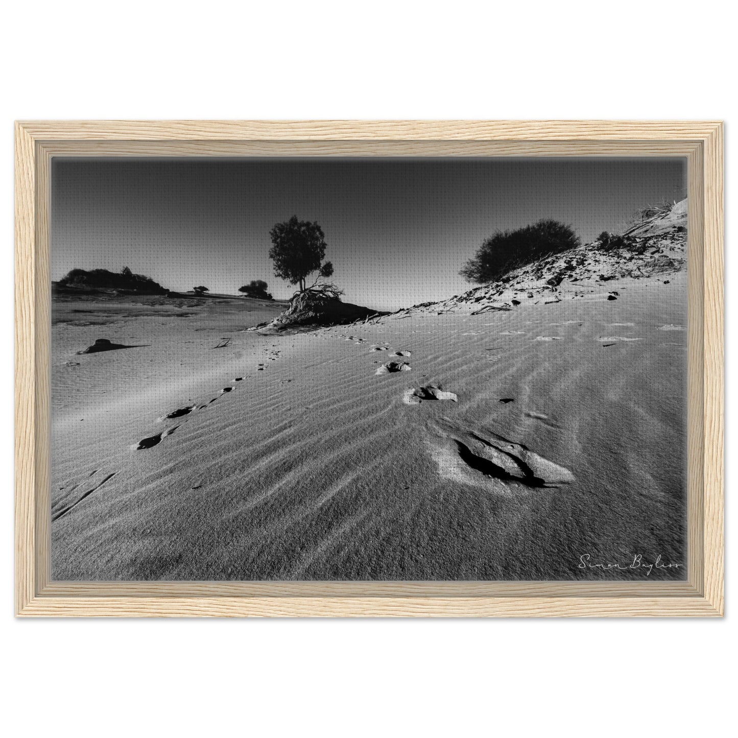 41217550-0dfc-43ed-a5b5-9ceb32e0614b