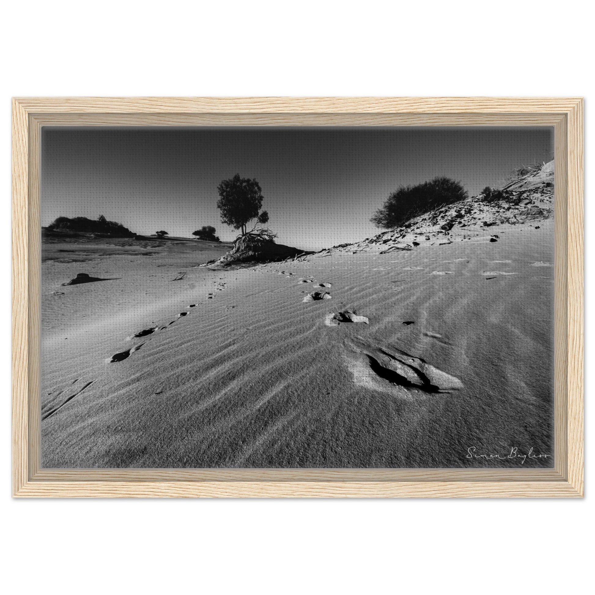 41217550-0dfc-43ed-a5b5-9ceb32e0614b