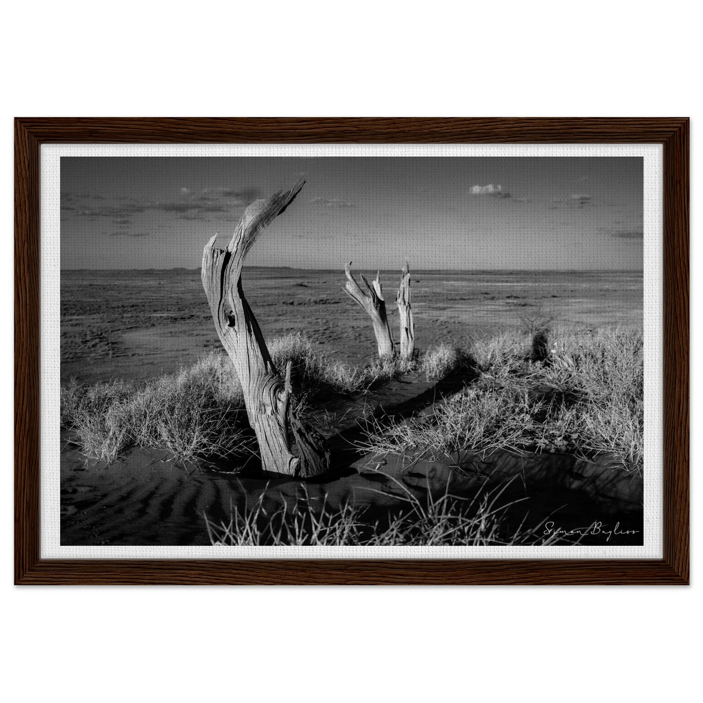 4144dd2f-22f1-4135-b5b7-0c98c182bad2