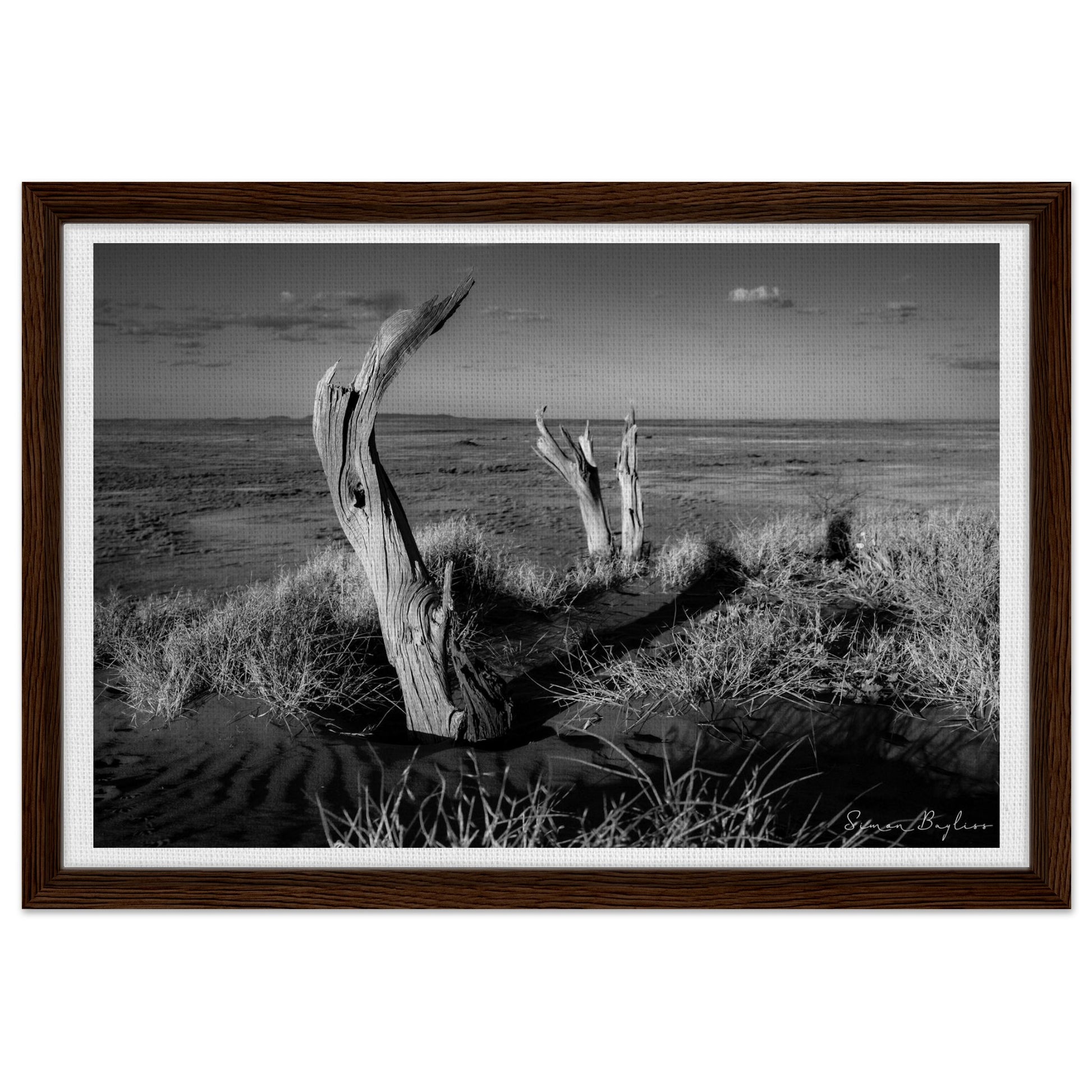 4144dd2f-22f1-4135-b5b7-0c98c182bad2