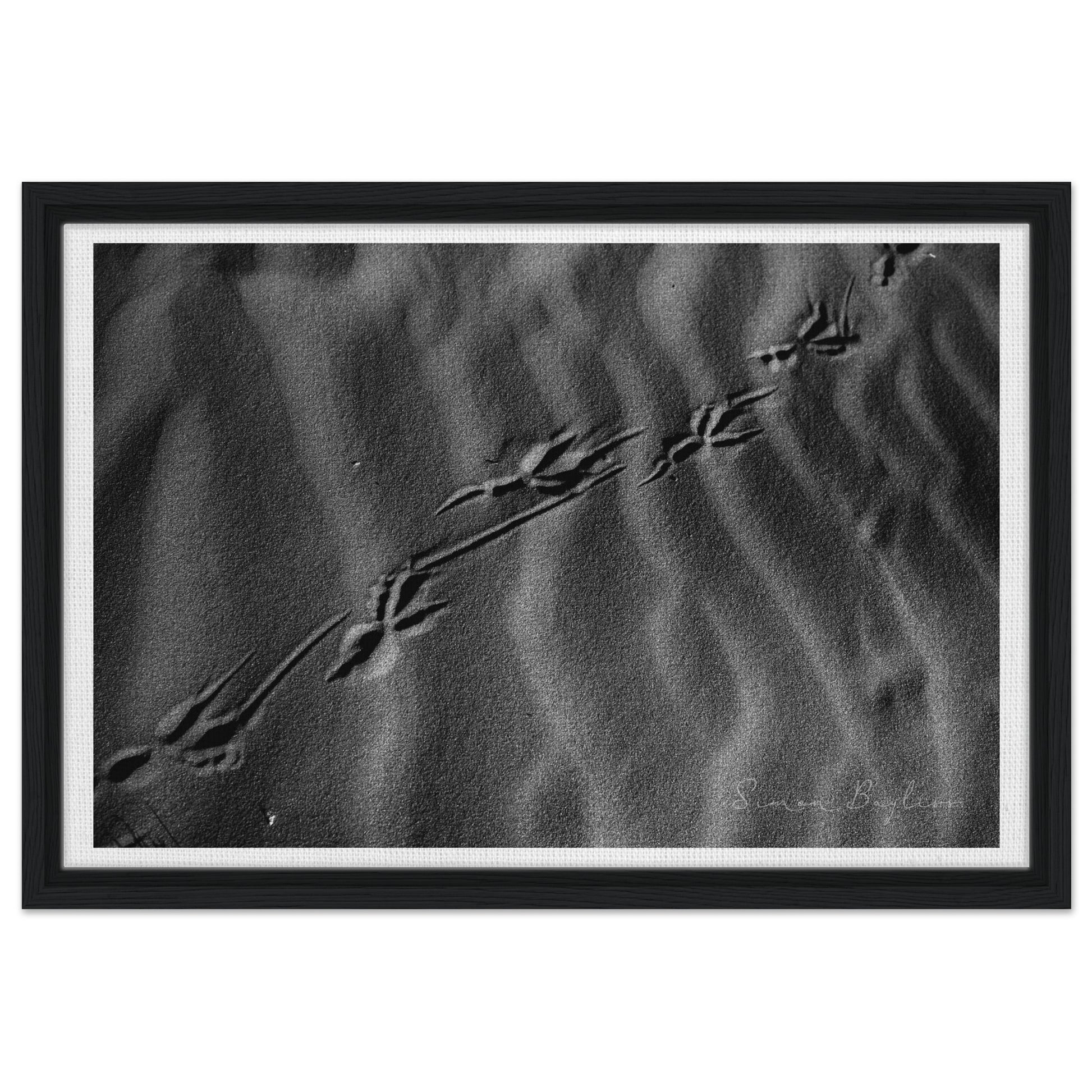 42334635-4fe1-4ed3-a50d-39f7c39988b0