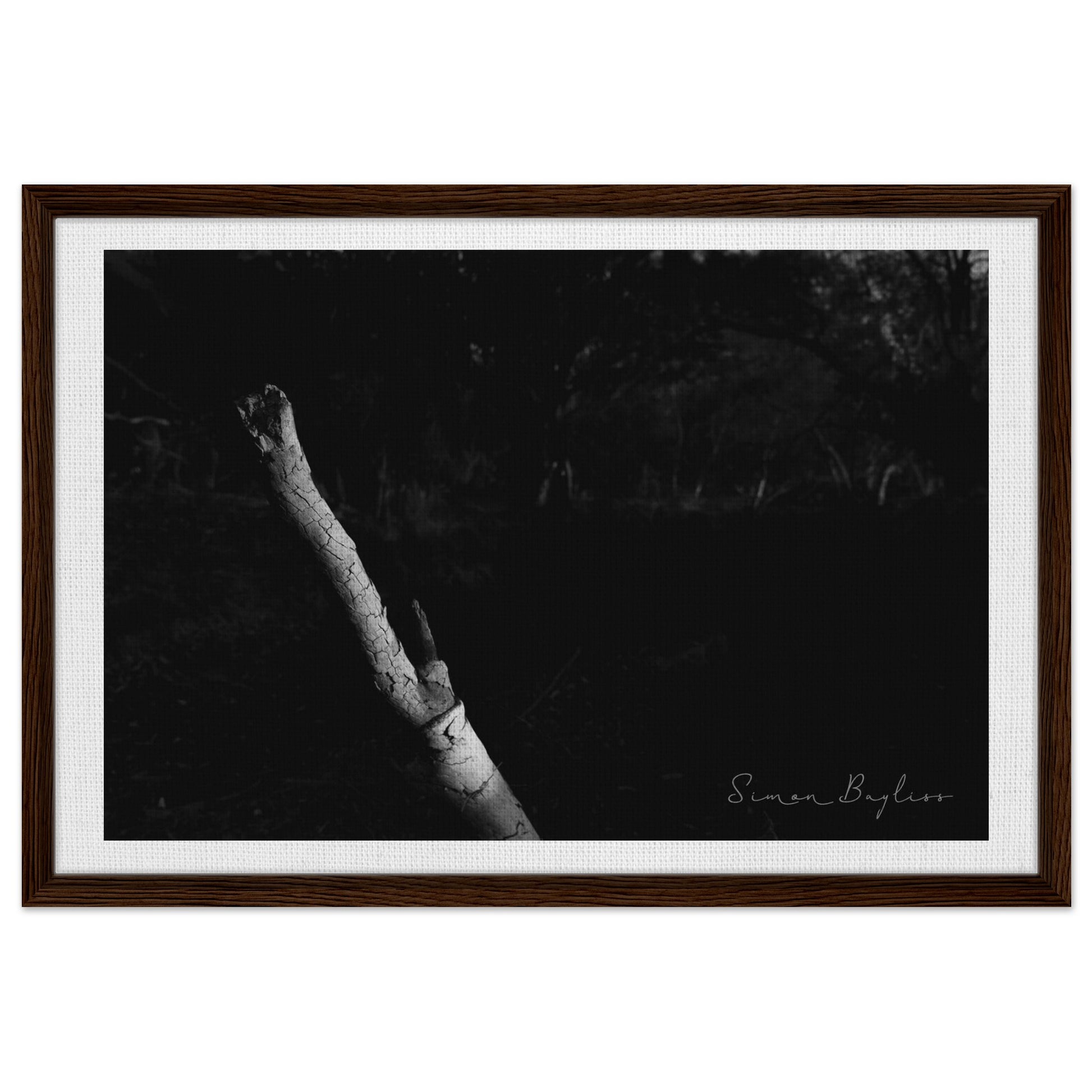 425377d1-d43e-41bb-a2ee-7796bd9962fa