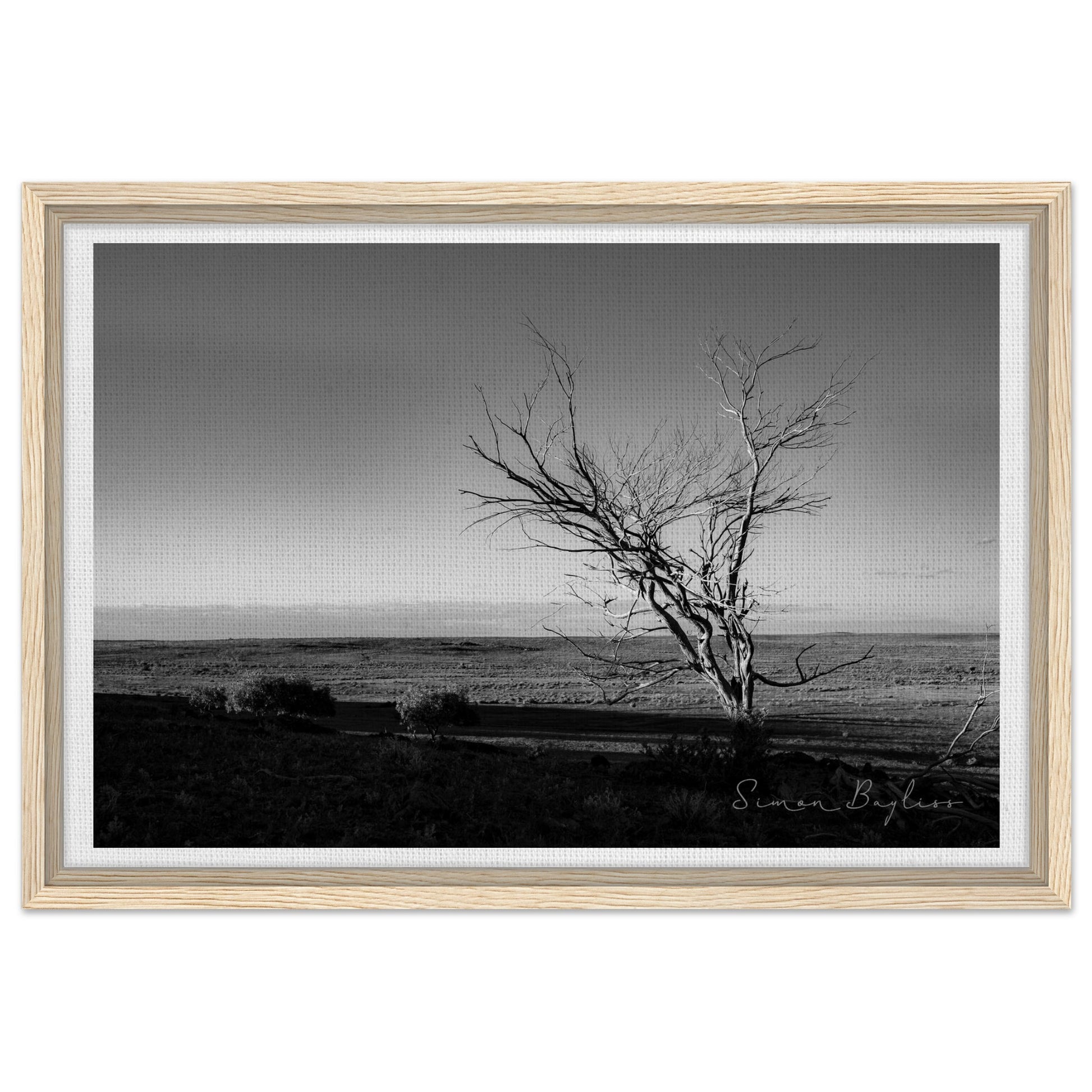 4296e869-9956-4866-9483-1e34434f5cf3