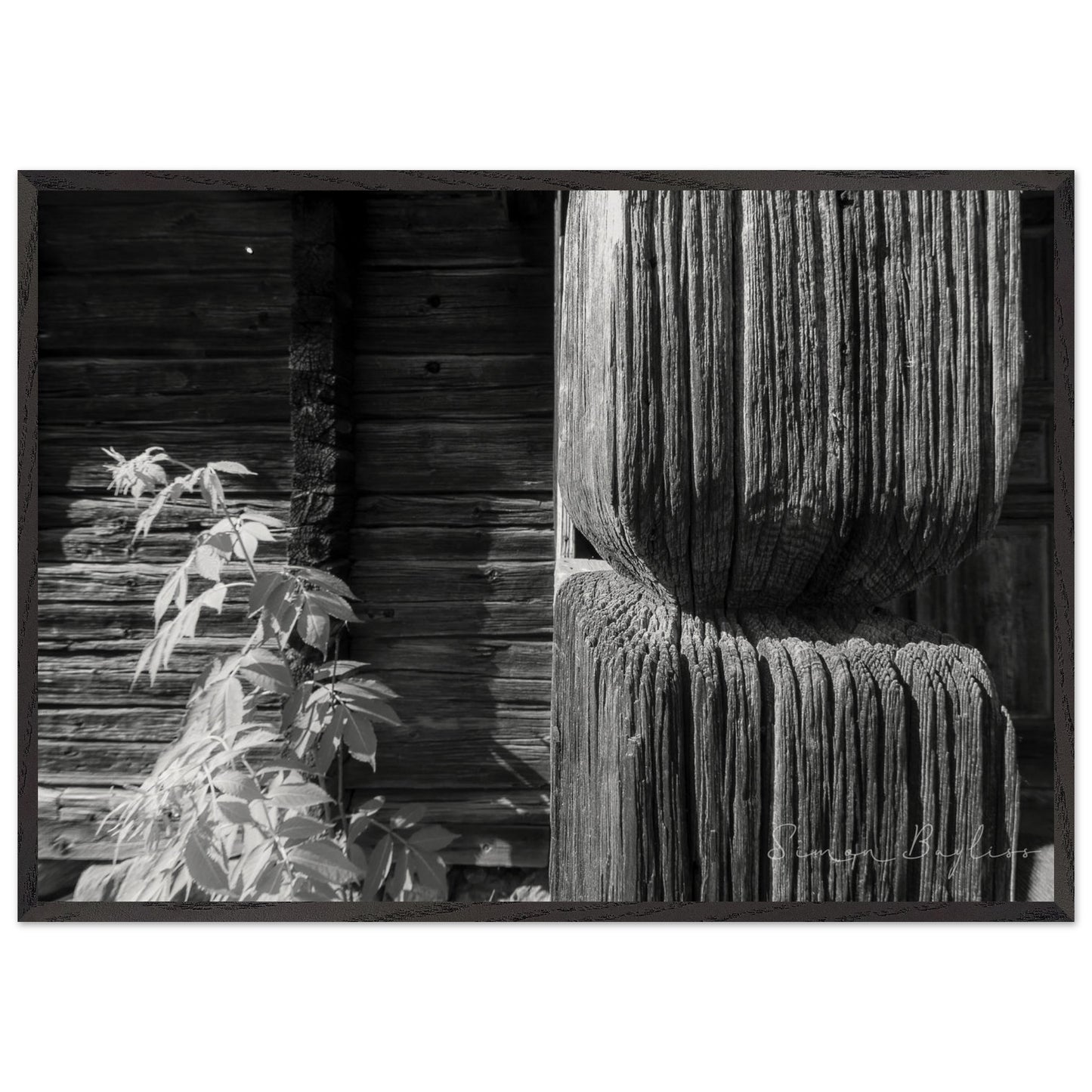 42cc3fe4-6ba8-4e97-95e1-c0d4f4953c02