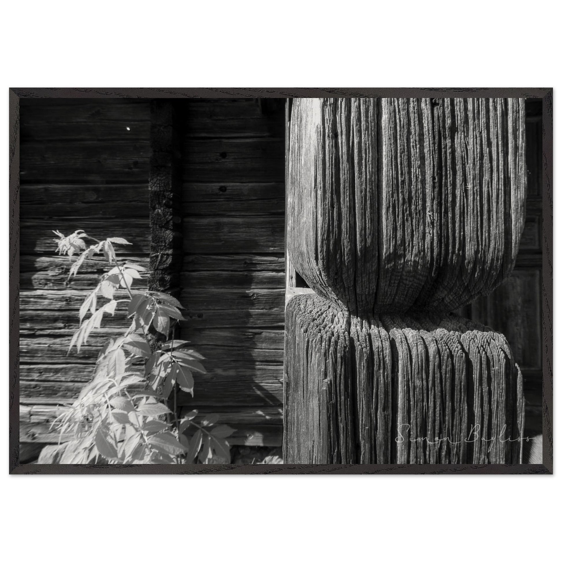 42cc3fe4-6ba8-4e97-95e1-c0d4f4953c02