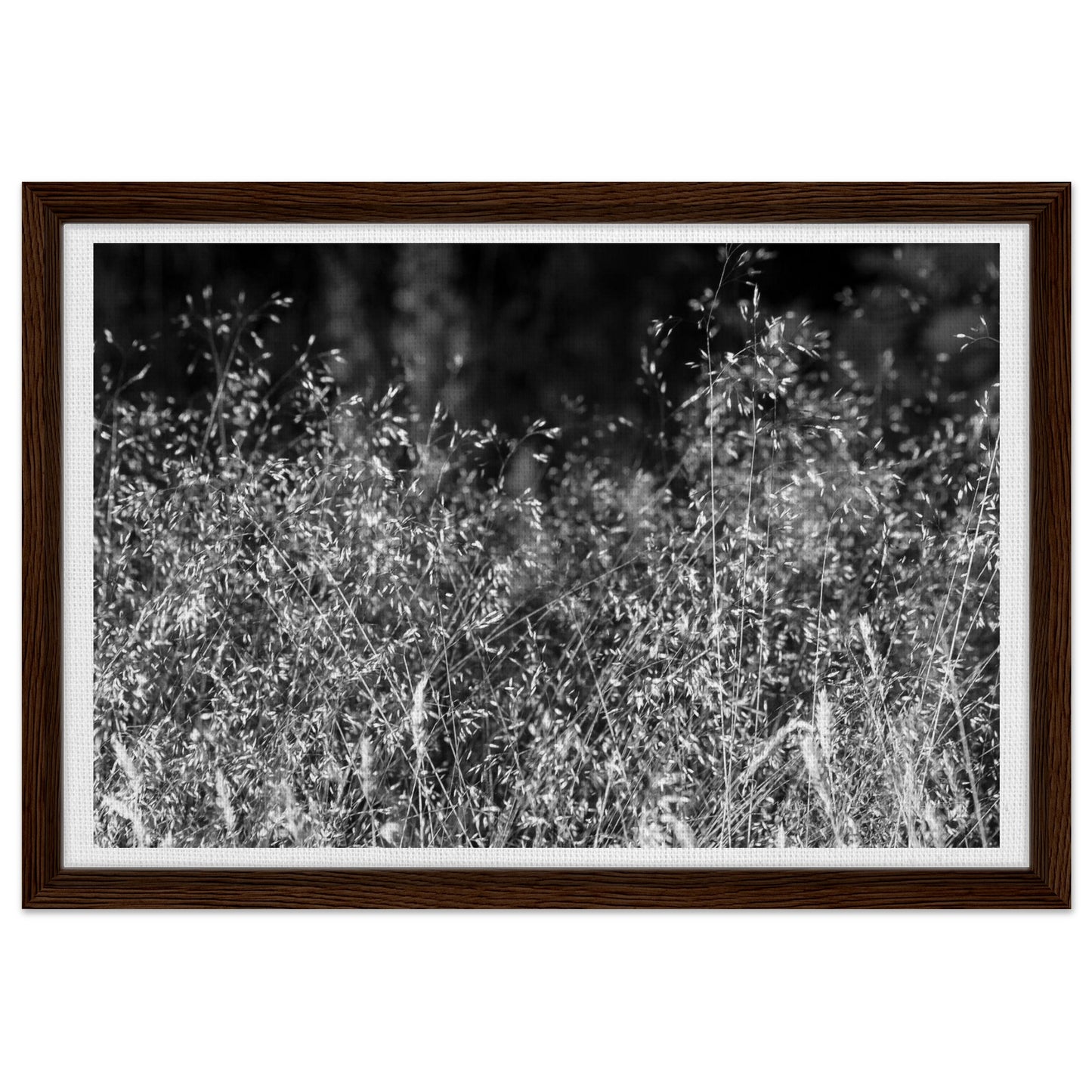 436a0eb2-755e-433d-b92b-53e38f371569