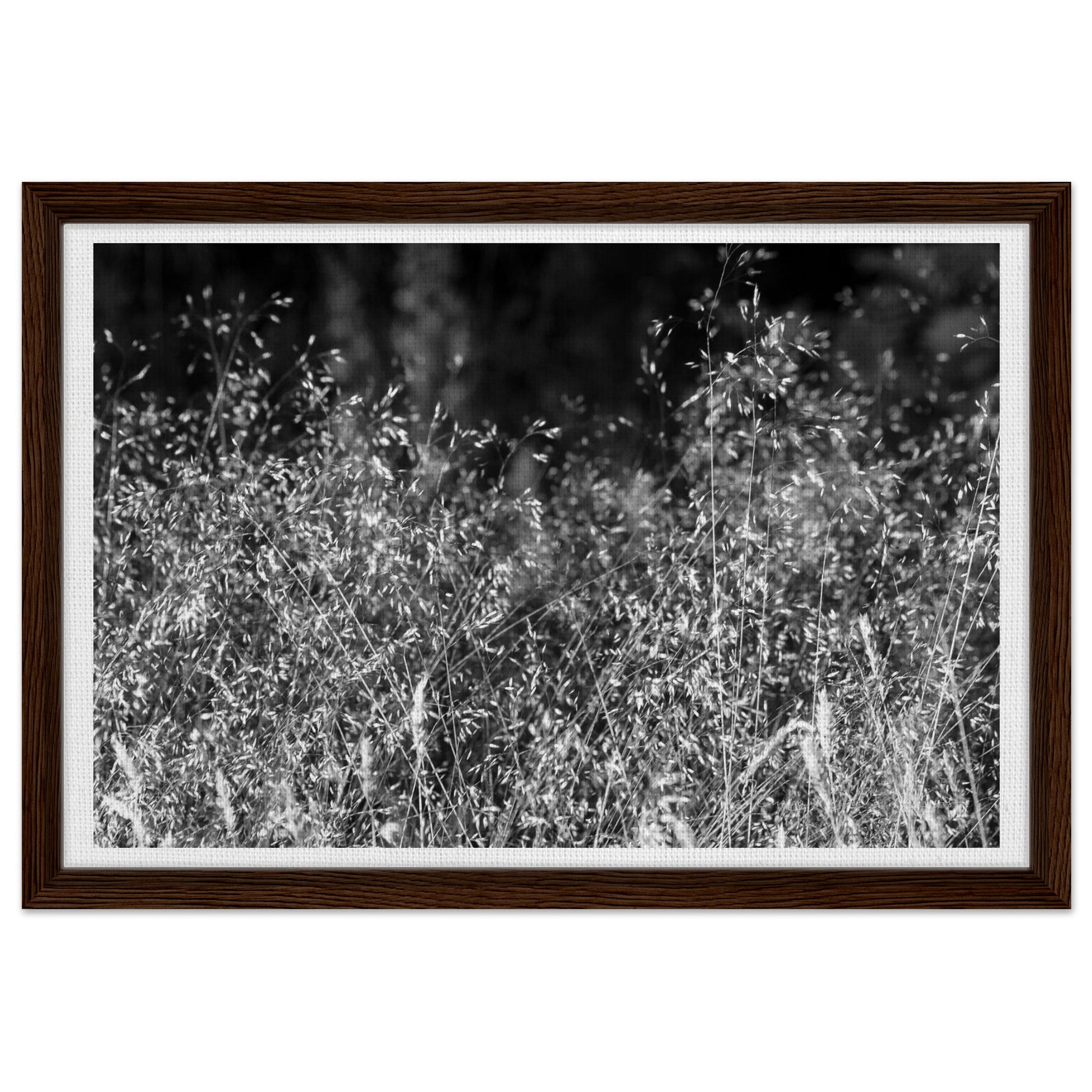 436a0eb2-755e-433d-b92b-53e38f371569