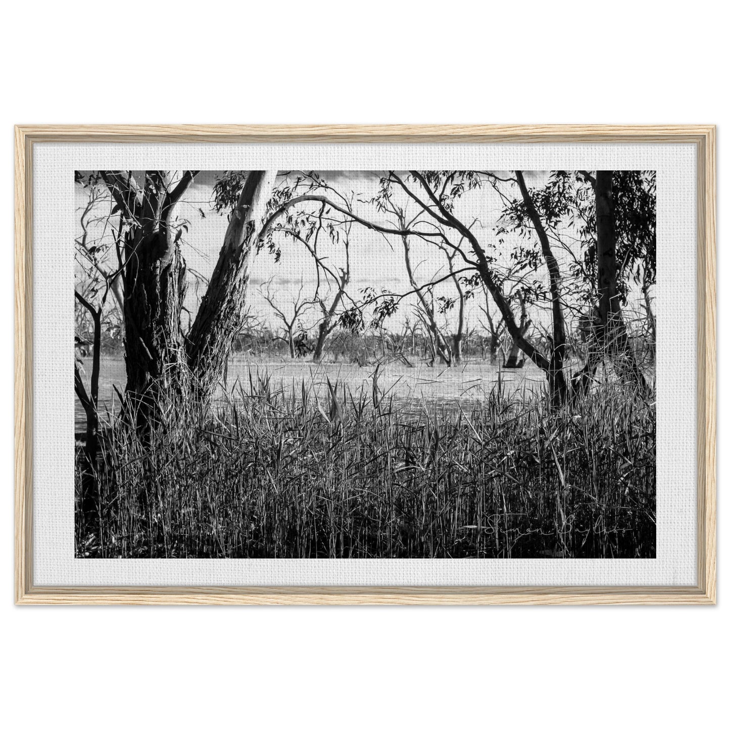 43f02661-59fd-4ef4-86f6-6c166619a422