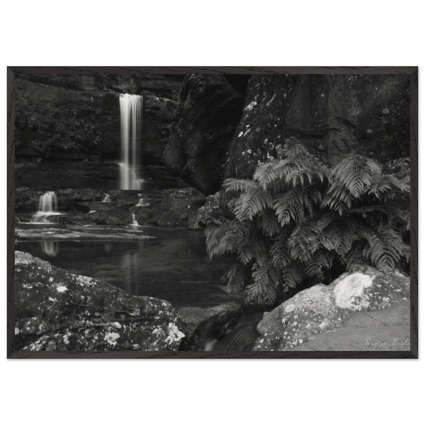 44242785-9308-40db-870d-c256398463df