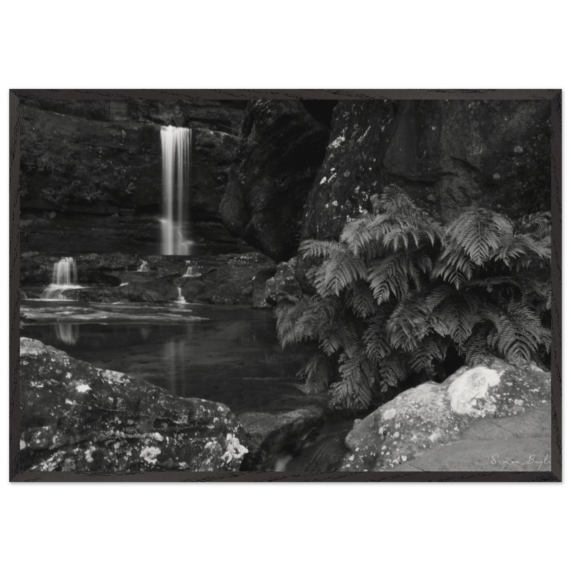 44242785-9308-40db-870d-c256398463df