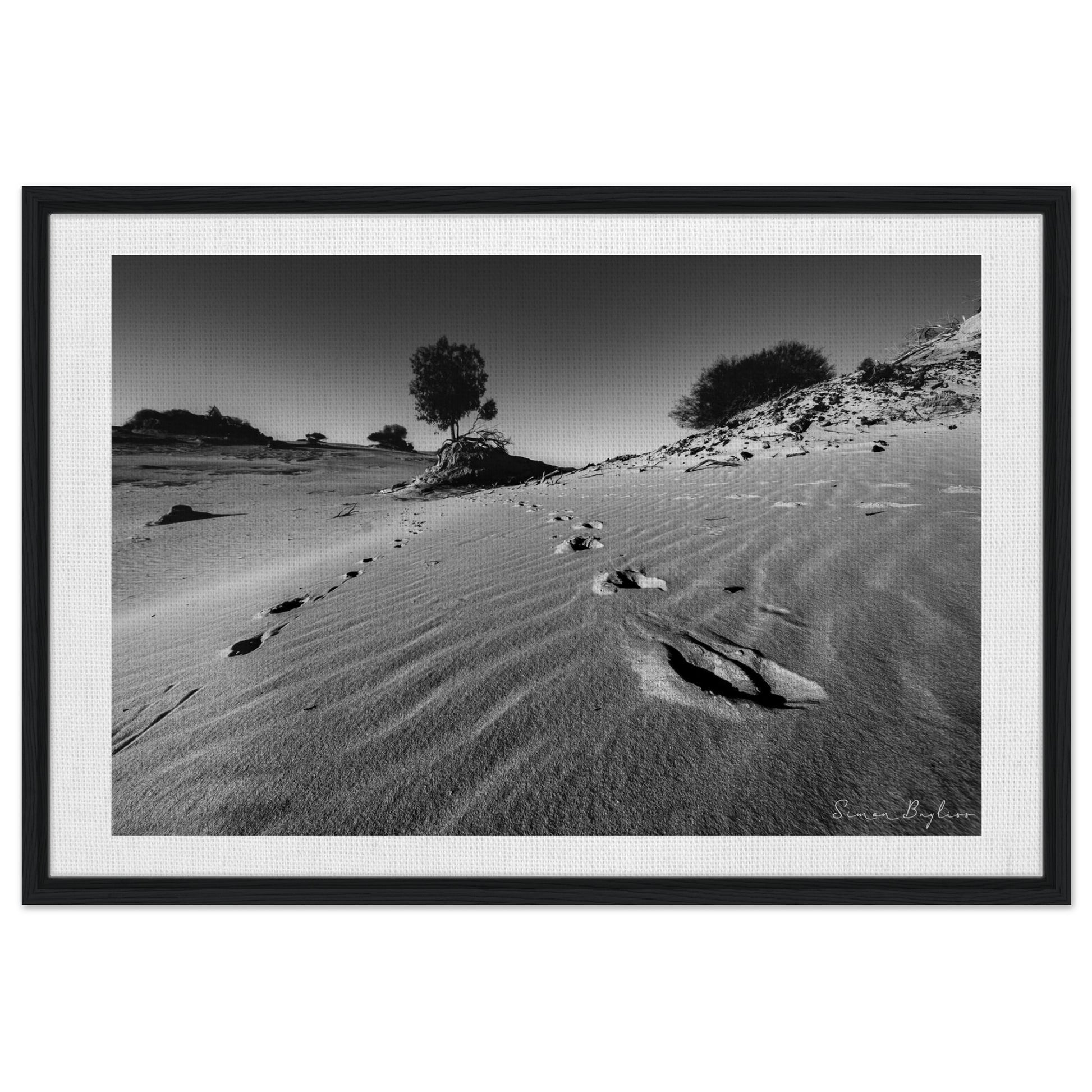 443719f3-dc00-420f-8184-3d4e290ad3d3