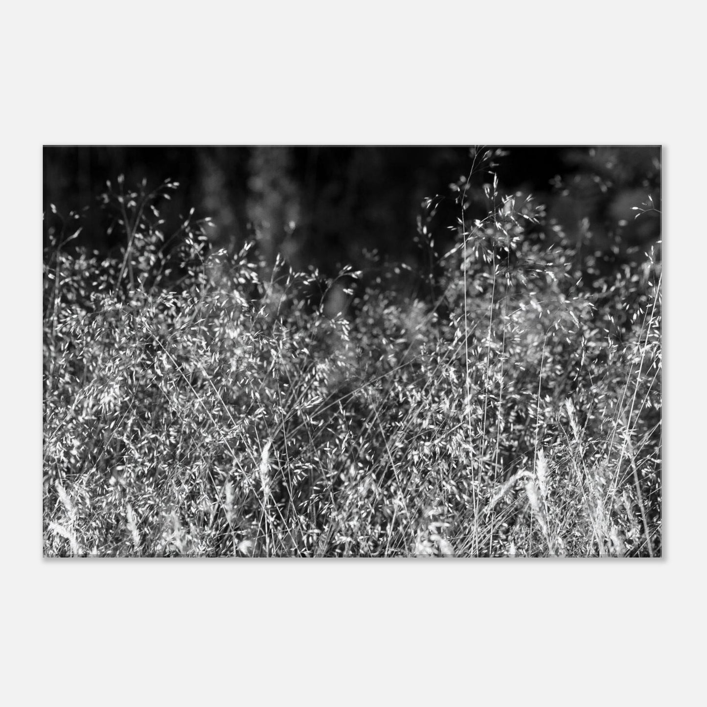 444d8dec-196a-4ac4-8f87-438bc7f5e002