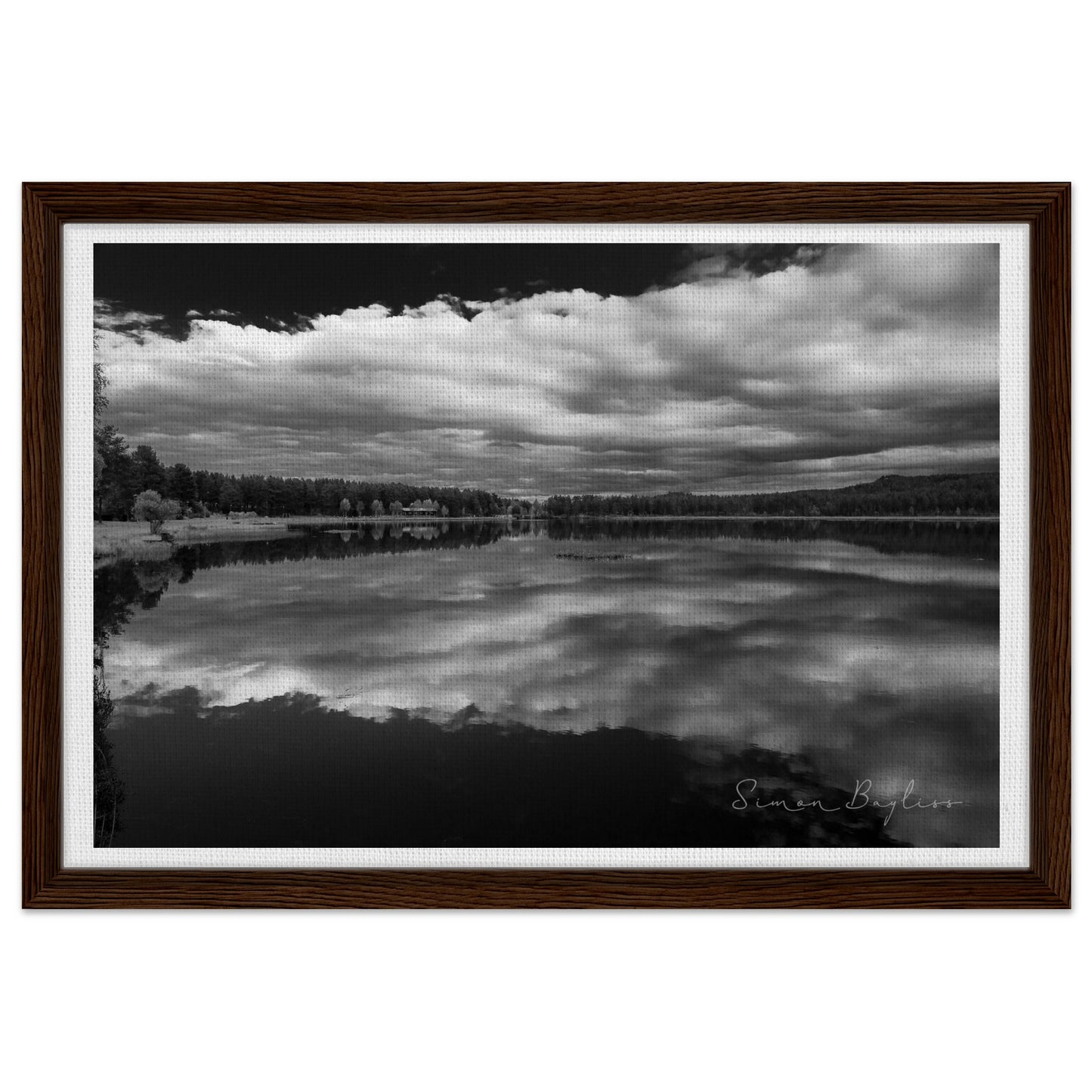 44816195-81d6-4983-9bef-29ddad12d6c2