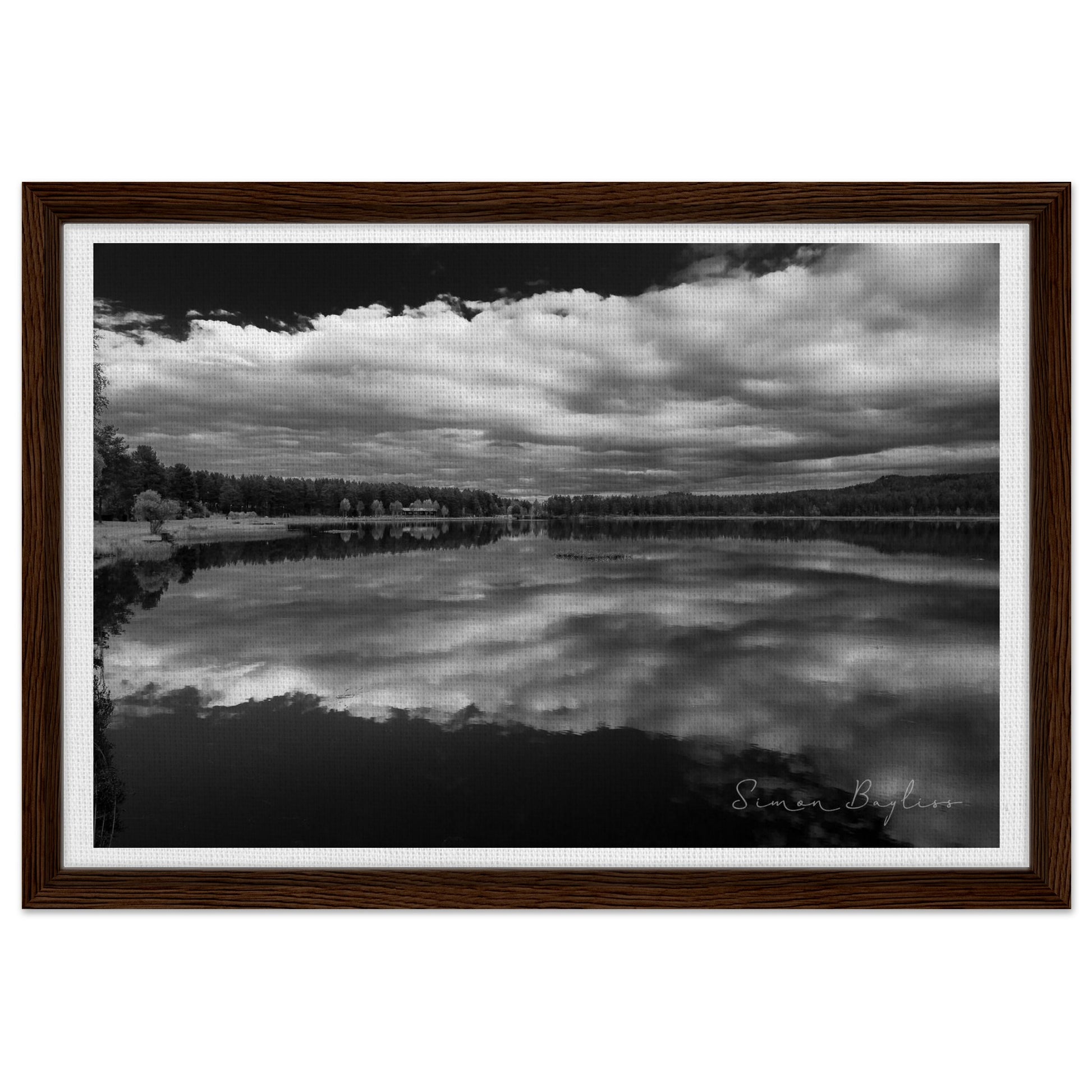 44816195-81d6-4983-9bef-29ddad12d6c2