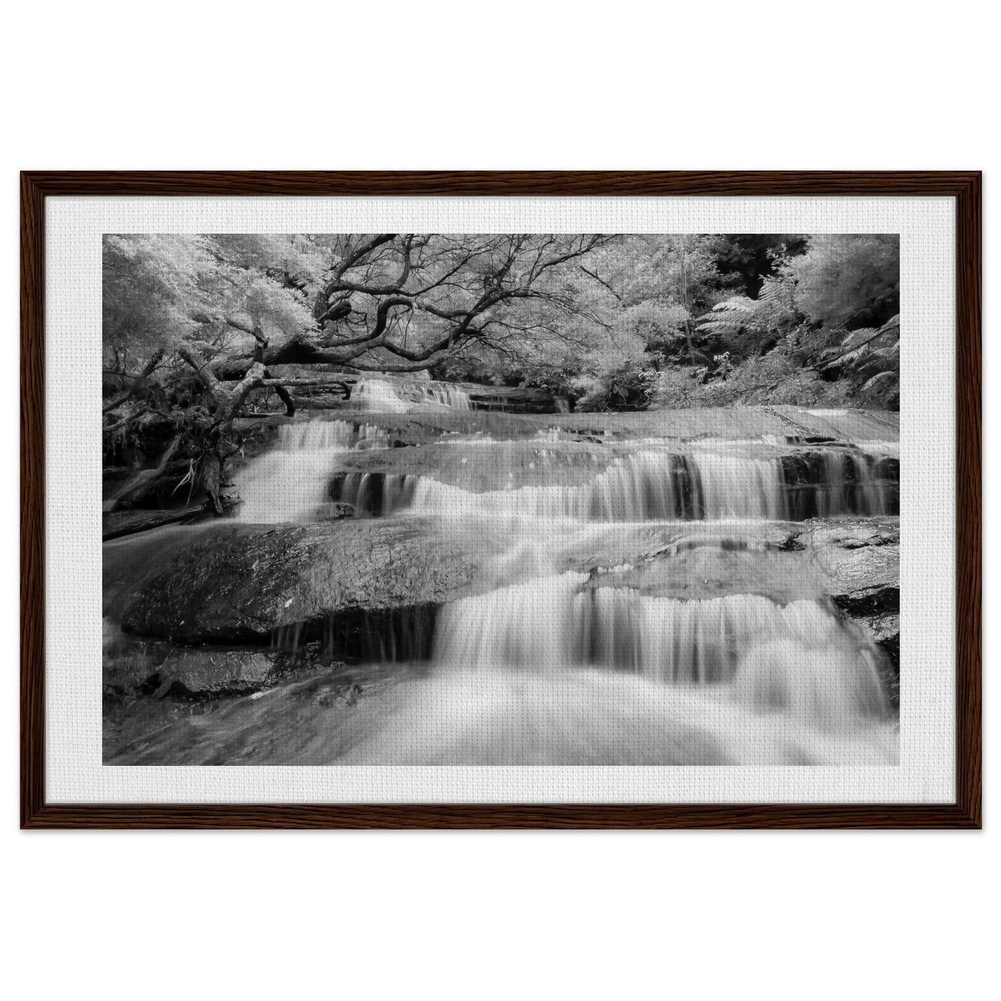 449d27bd-3188-4bf5-a583-db902c70004c