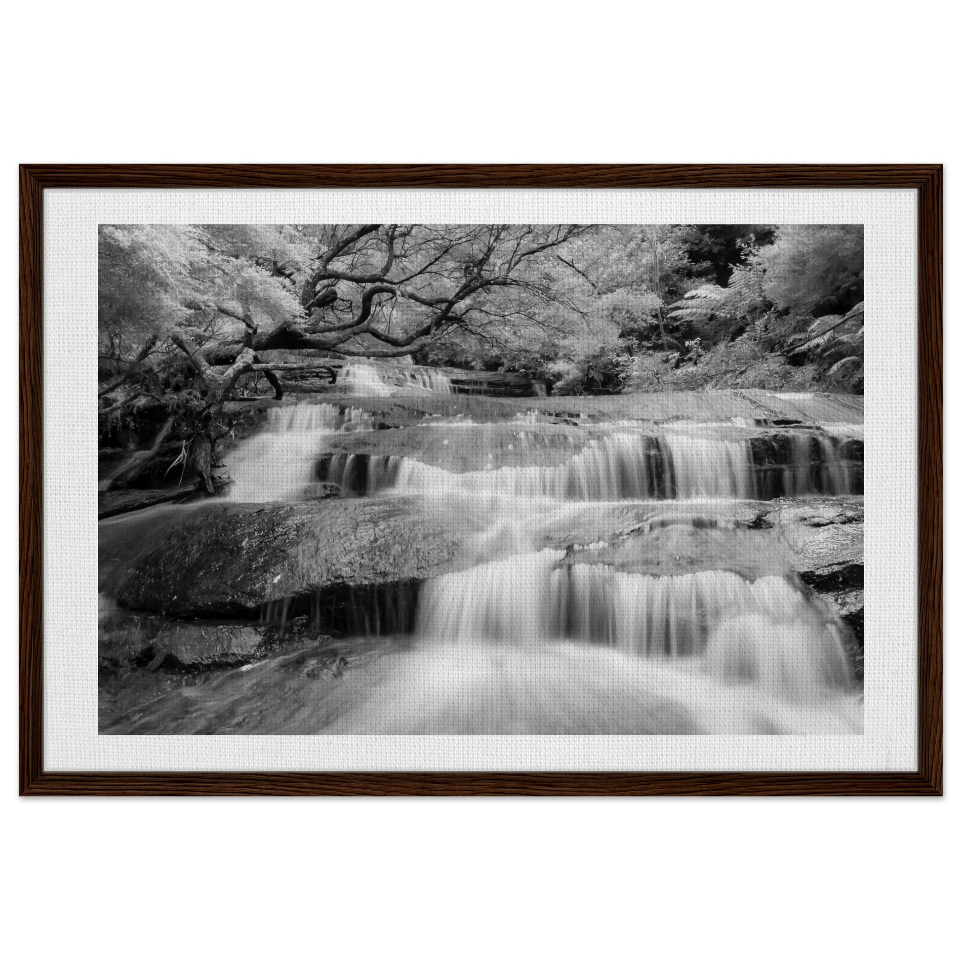 449d27bd-3188-4bf5-a583-db902c70004c