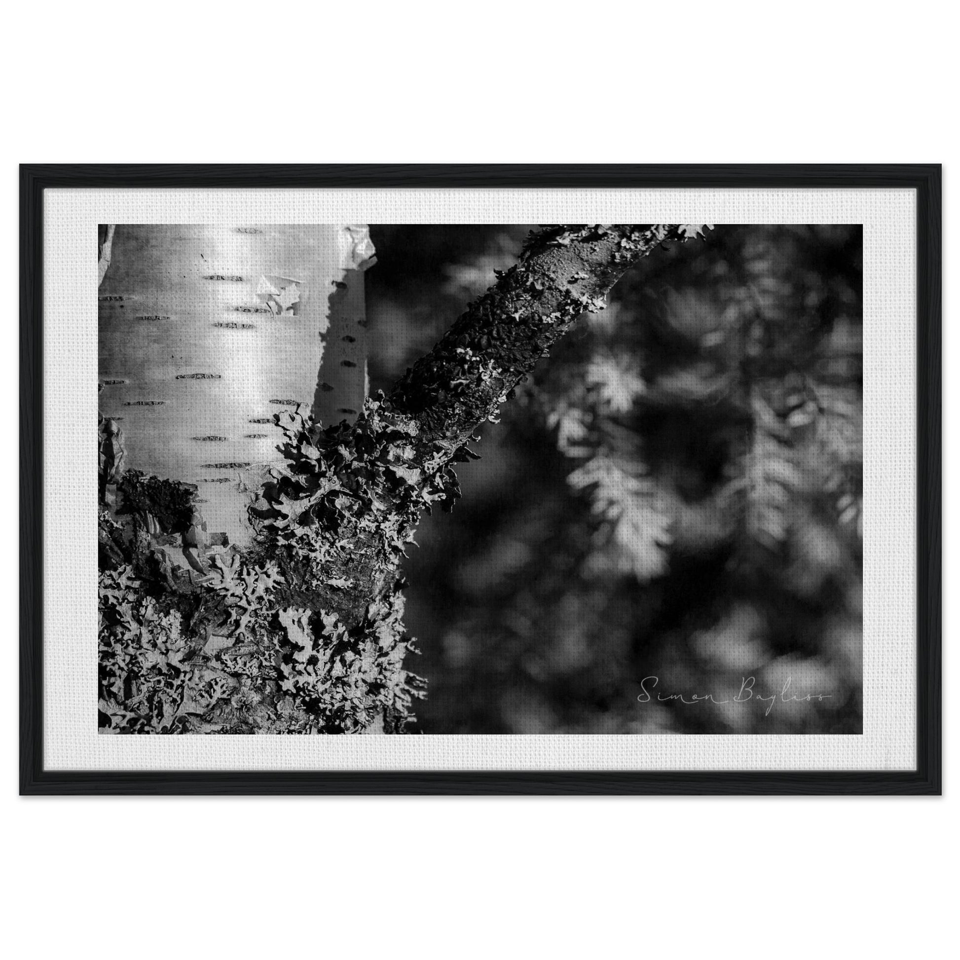 44a117ea-9eb0-44f1-8b83-cecd87e5fbb0