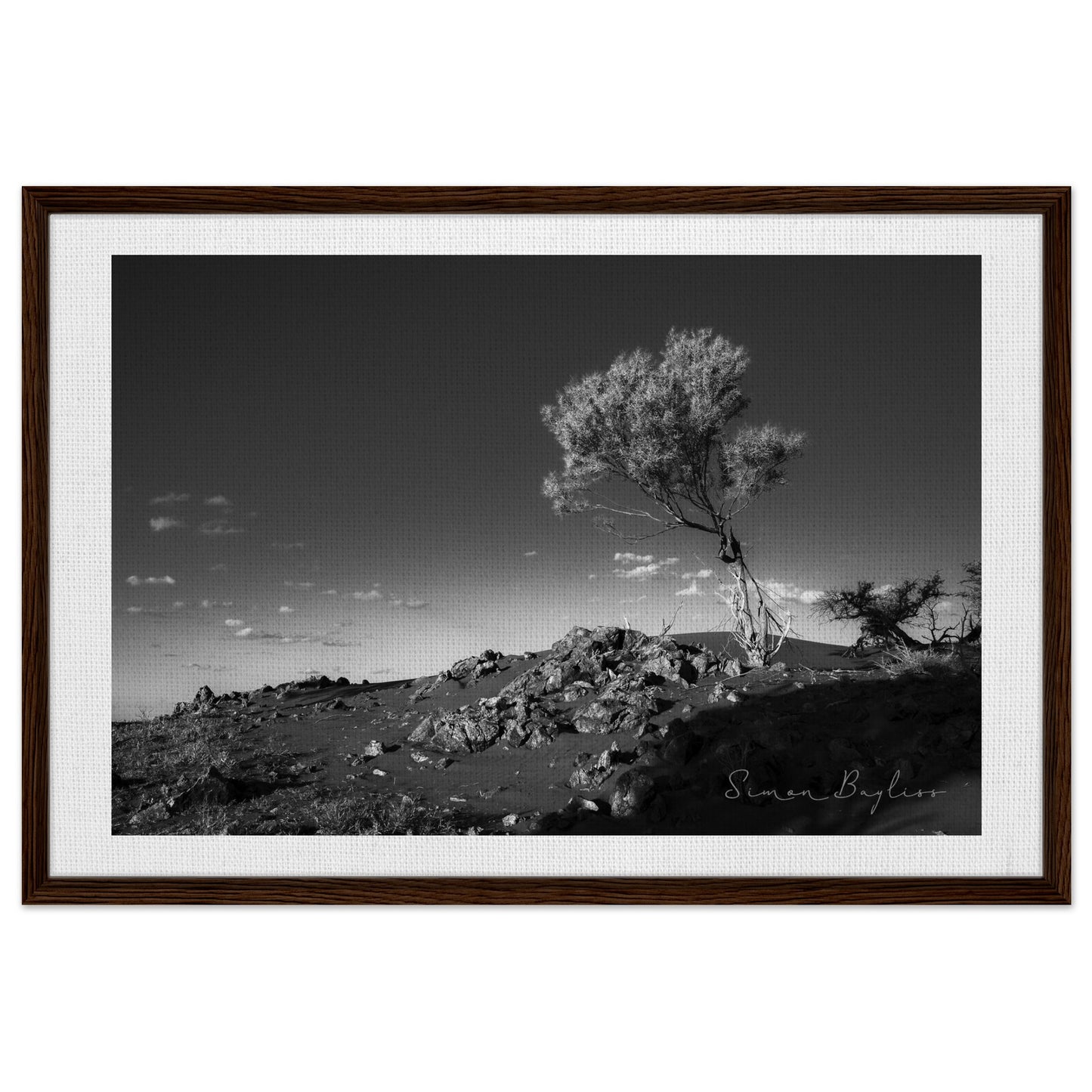 44bbc34f-2190-44bc-bb5d-5b371049a6de