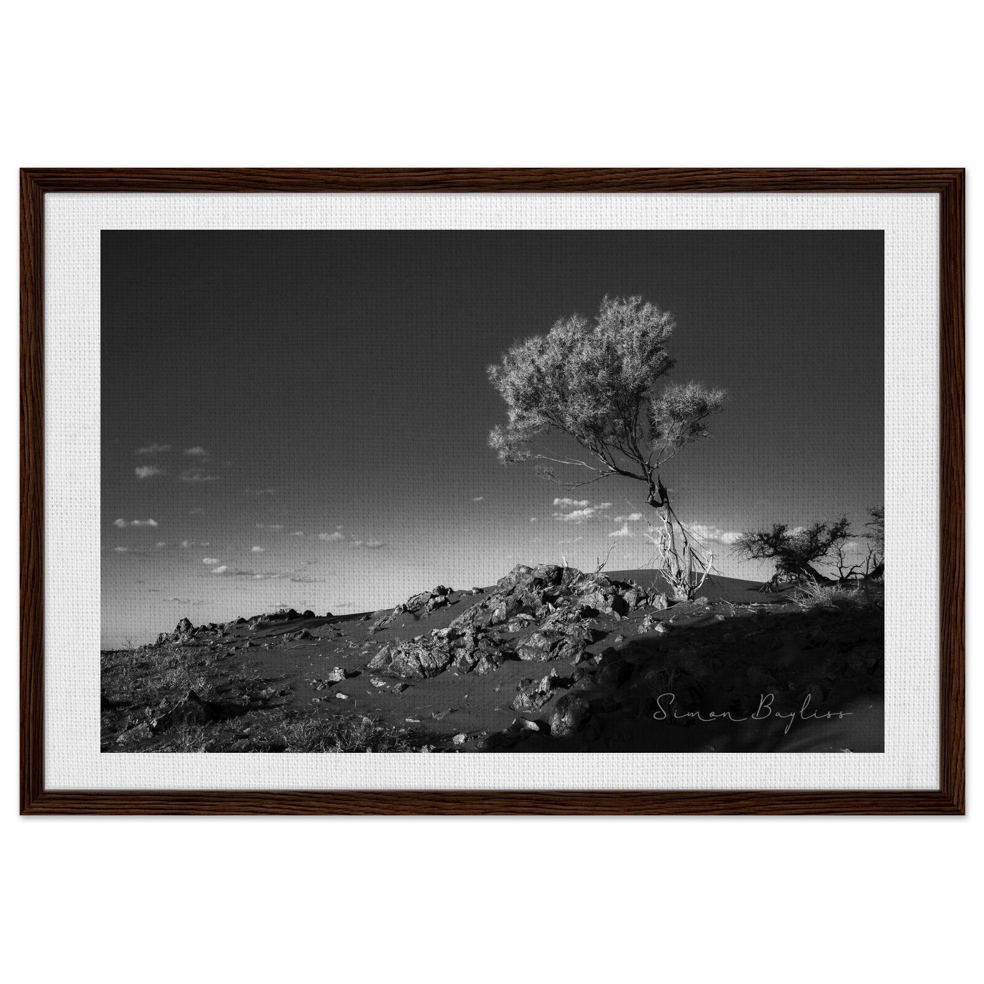 44bbc34f-2190-44bc-bb5d-5b371049a6de