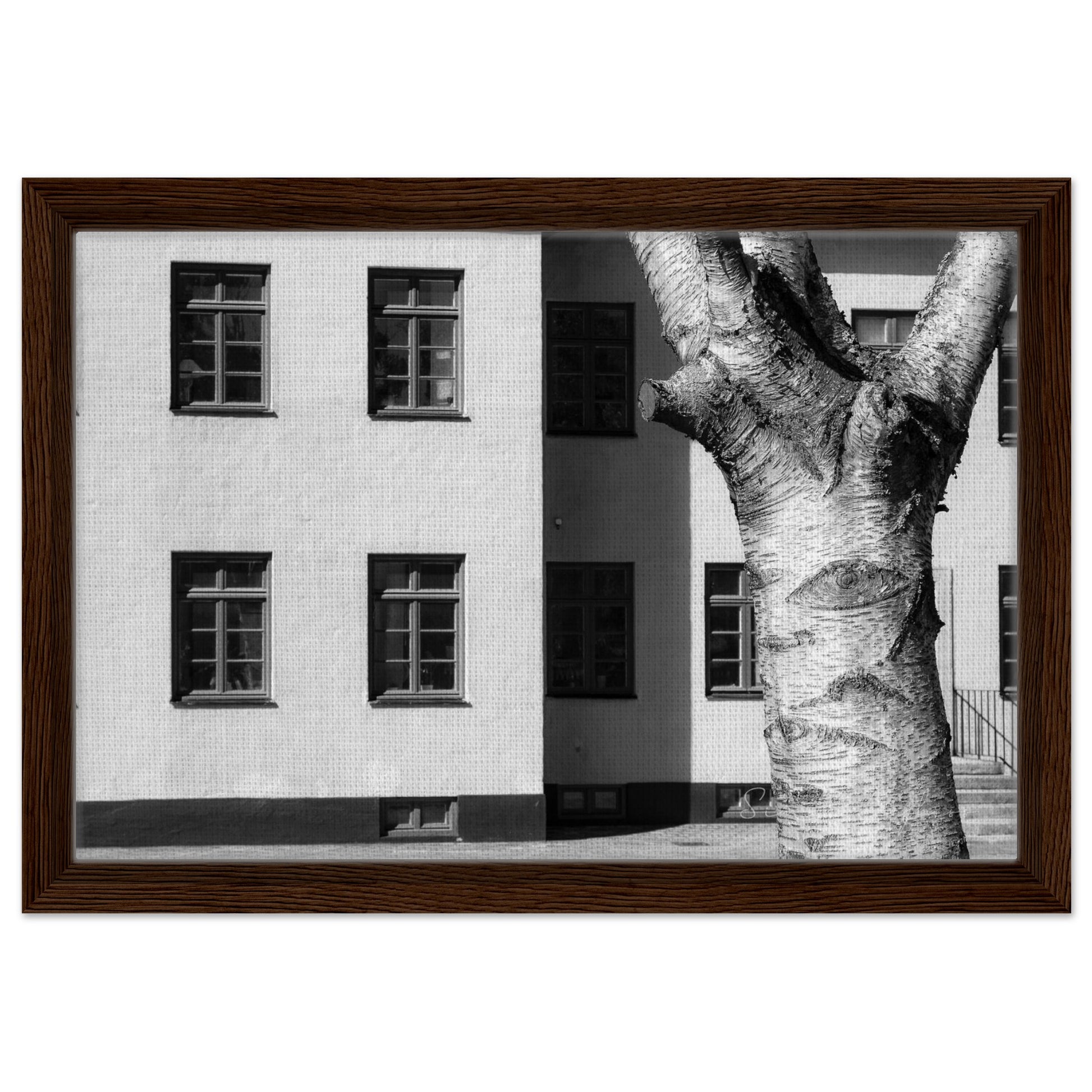 44db2c42-cda0-486c-8103-612364ba5d58