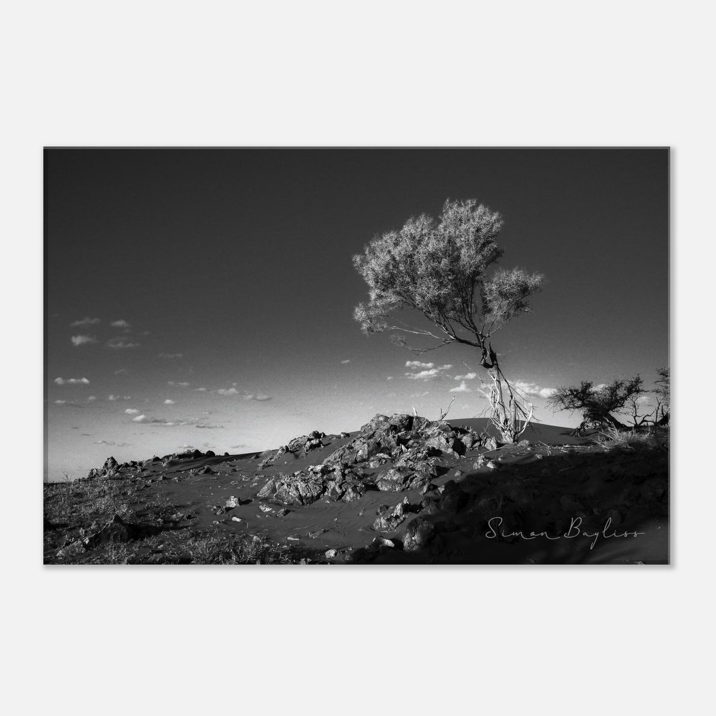 451e52f8-c14e-461d-9055-b826ec5f03dd