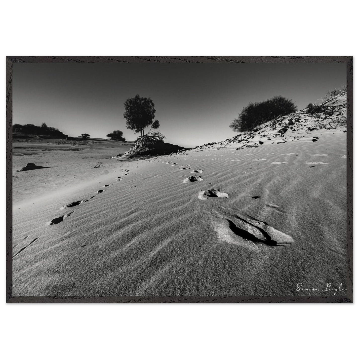 453cb15b-9ca0-4093-aaa0-68f971b68556