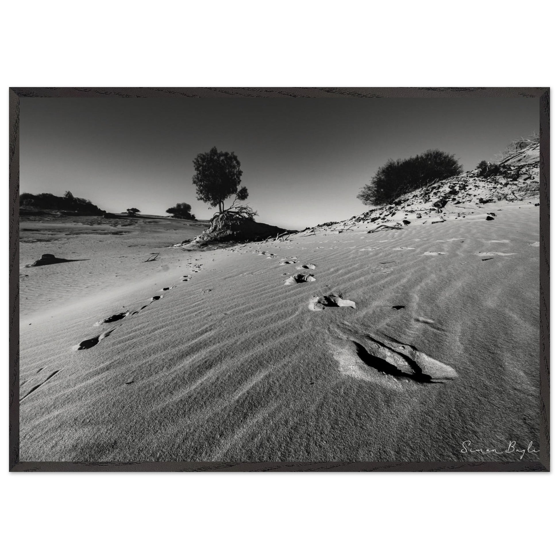 453cb15b-9ca0-4093-aaa0-68f971b68556