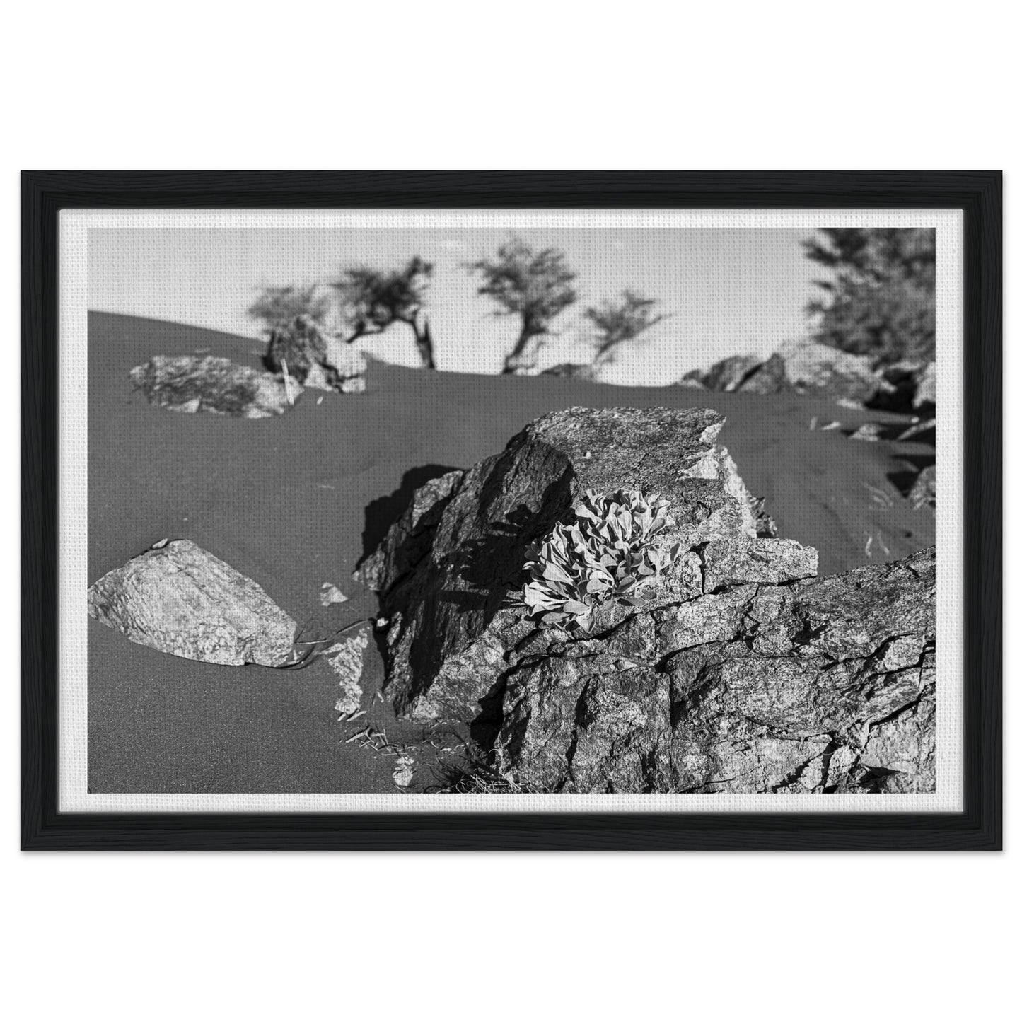 45969e38-3338-49bb-8f2c-dcd282fc5caa