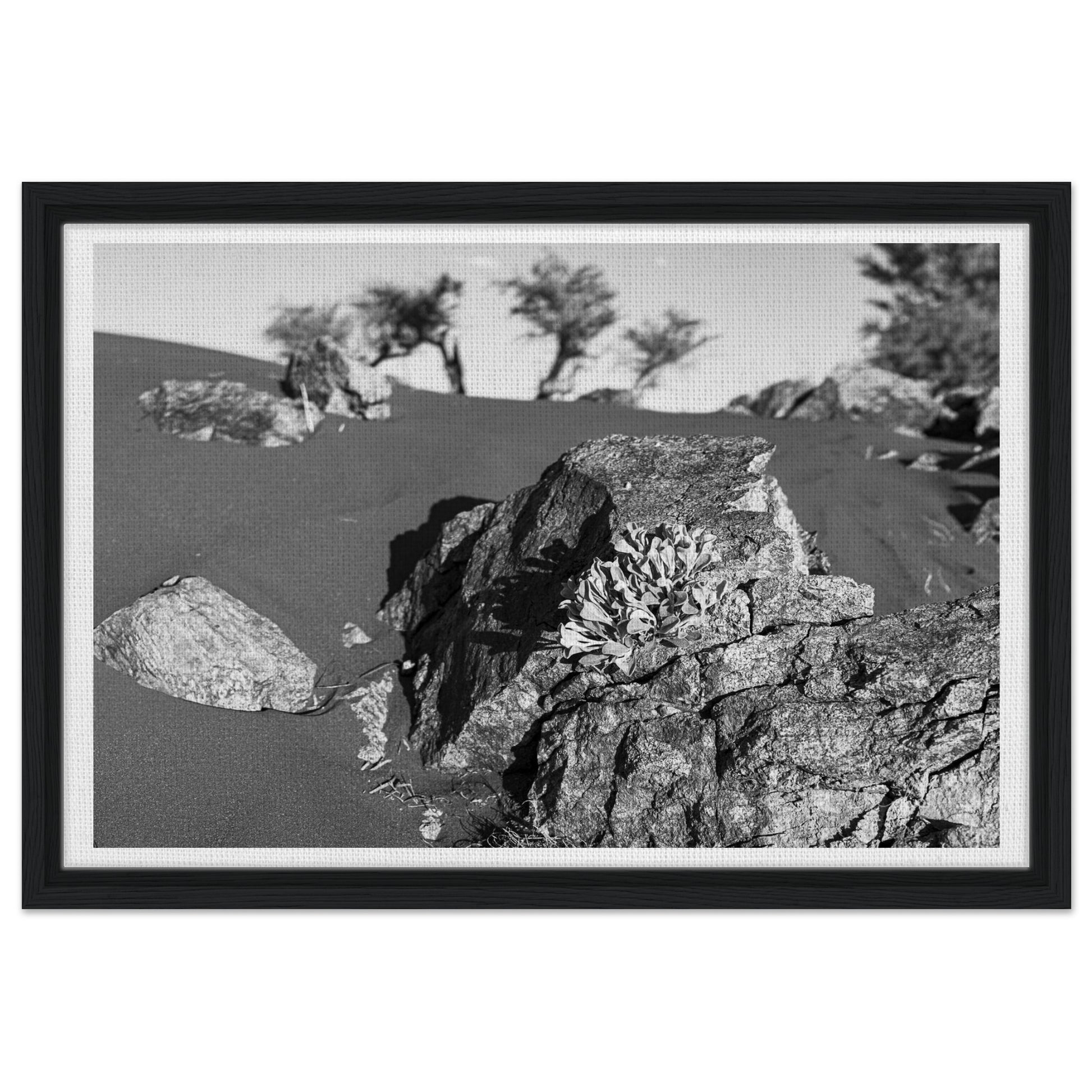 45969e38-3338-49bb-8f2c-dcd282fc5caa