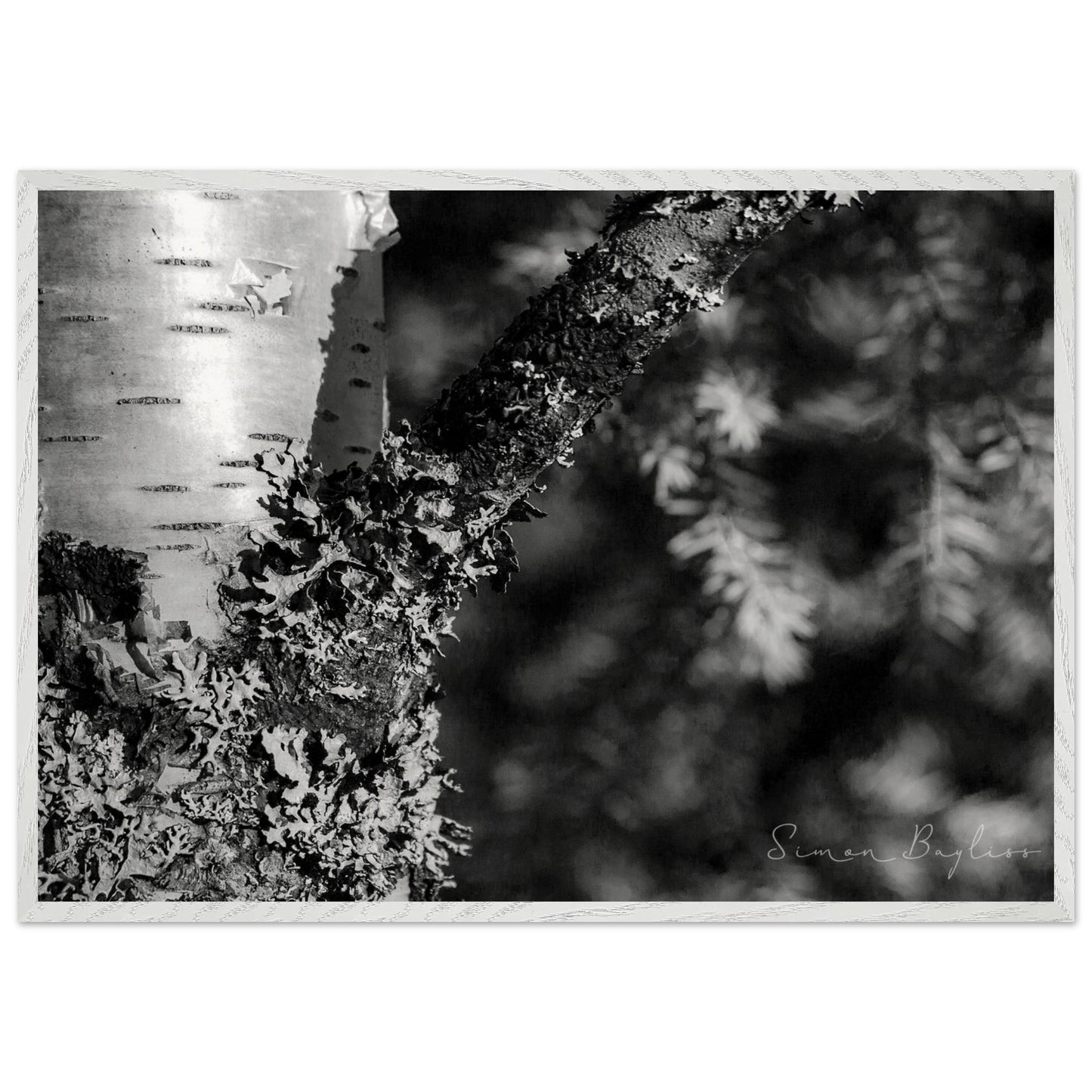 45bfbc97-2415-4caf-be65-07646150feaf