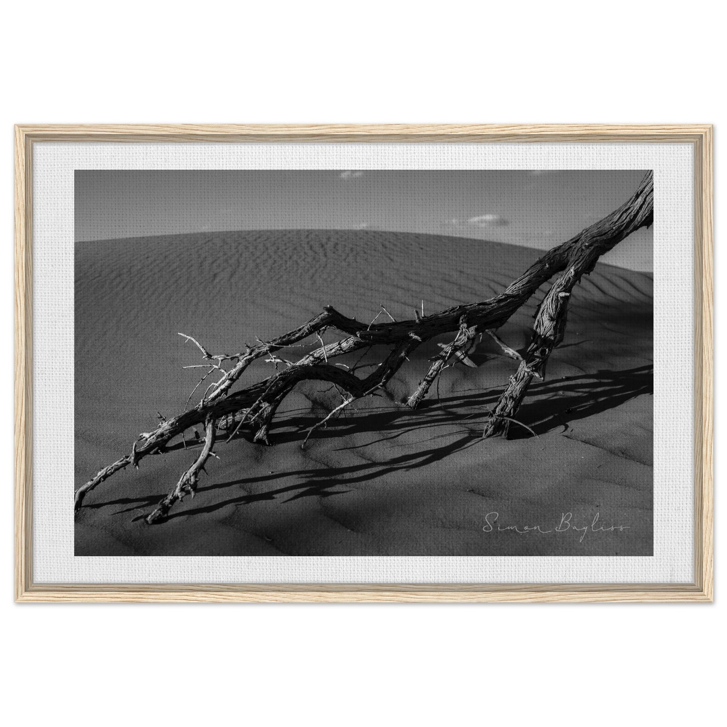 45c3b9f8-169b-4de4-9d17-cd90546c0e35