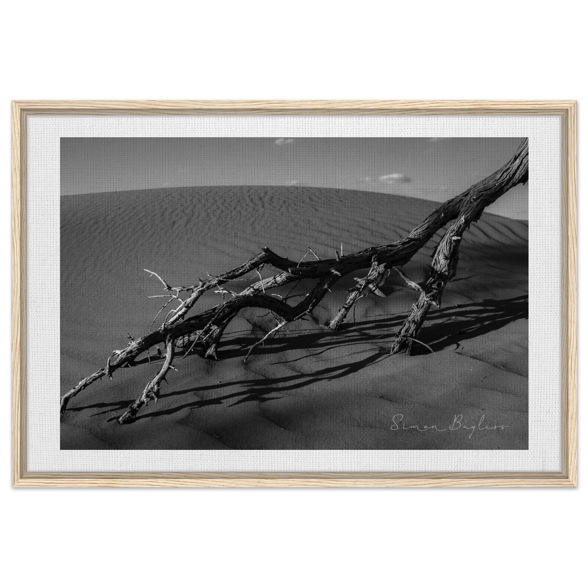 45c3b9f8-169b-4de4-9d17-cd90546c0e35