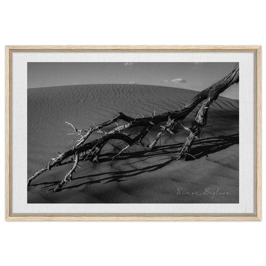 45c3b9f8-169b-4de4-9d17-cd90546c0e35