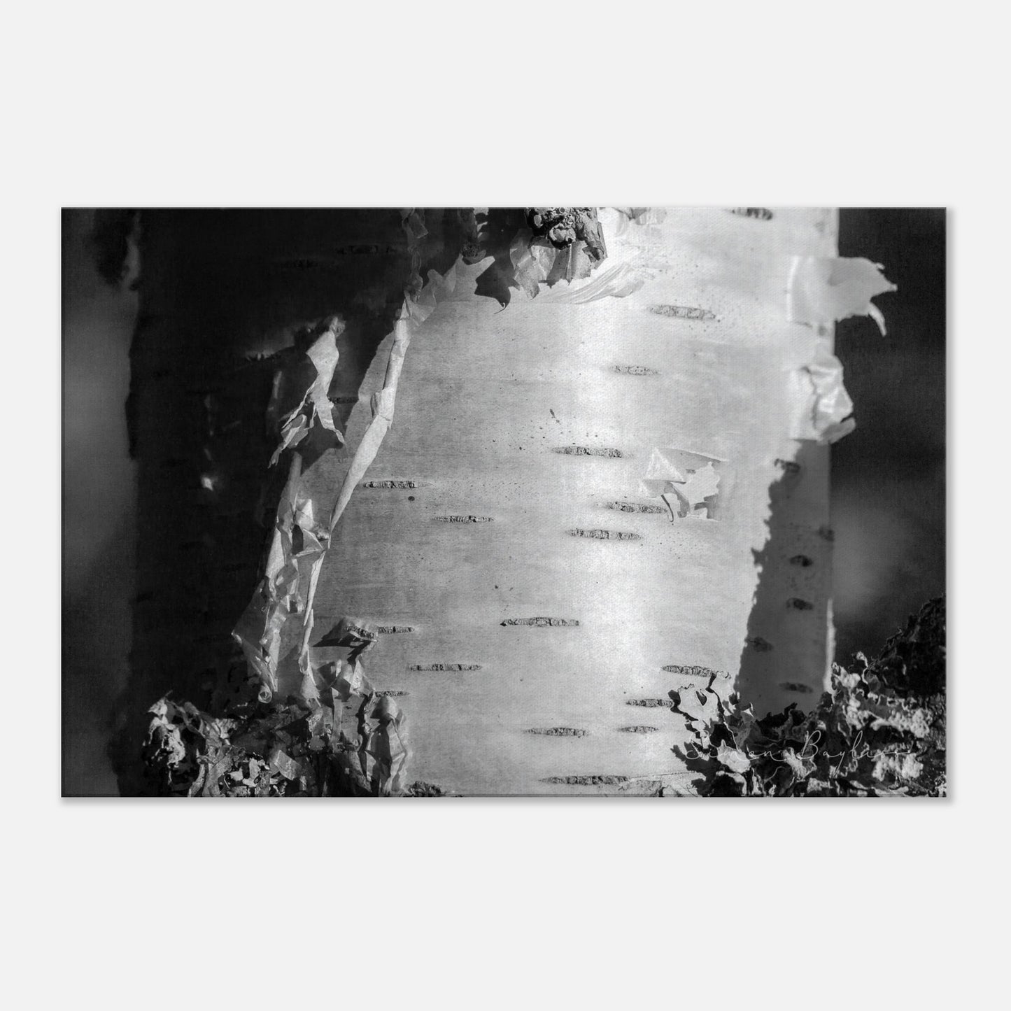 45fc89a0-3744-4307-ac27-9d63ac98938d