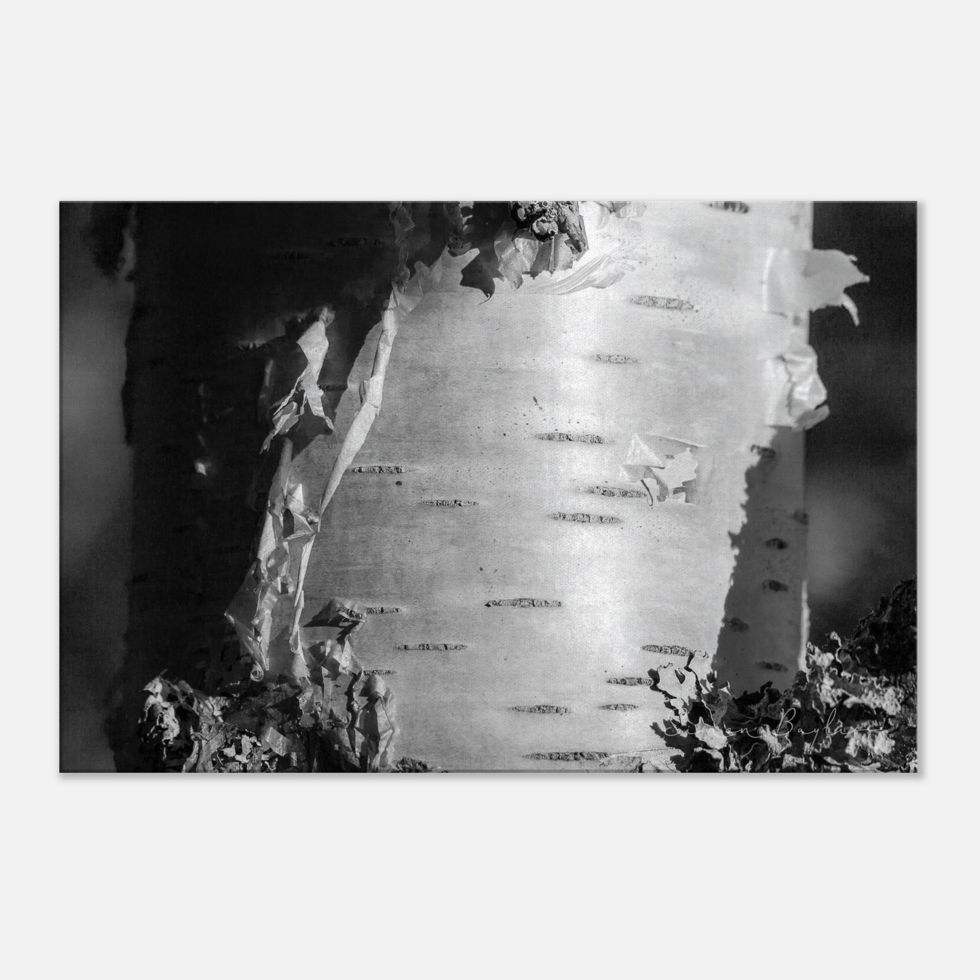 45fc89a0-3744-4307-ac27-9d63ac98938d