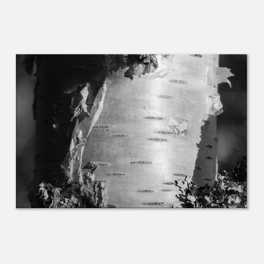 45fc89a0-3744-4307-ac27-9d63ac98938d