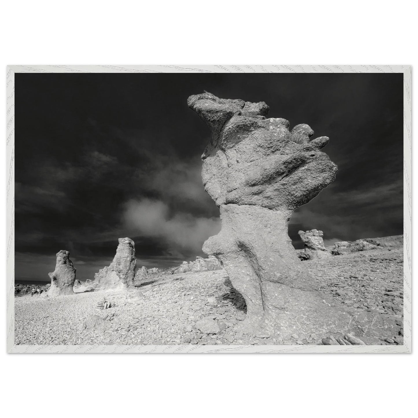 4683fc82-e97a-43cb-a7b9-ada30fd6c53d