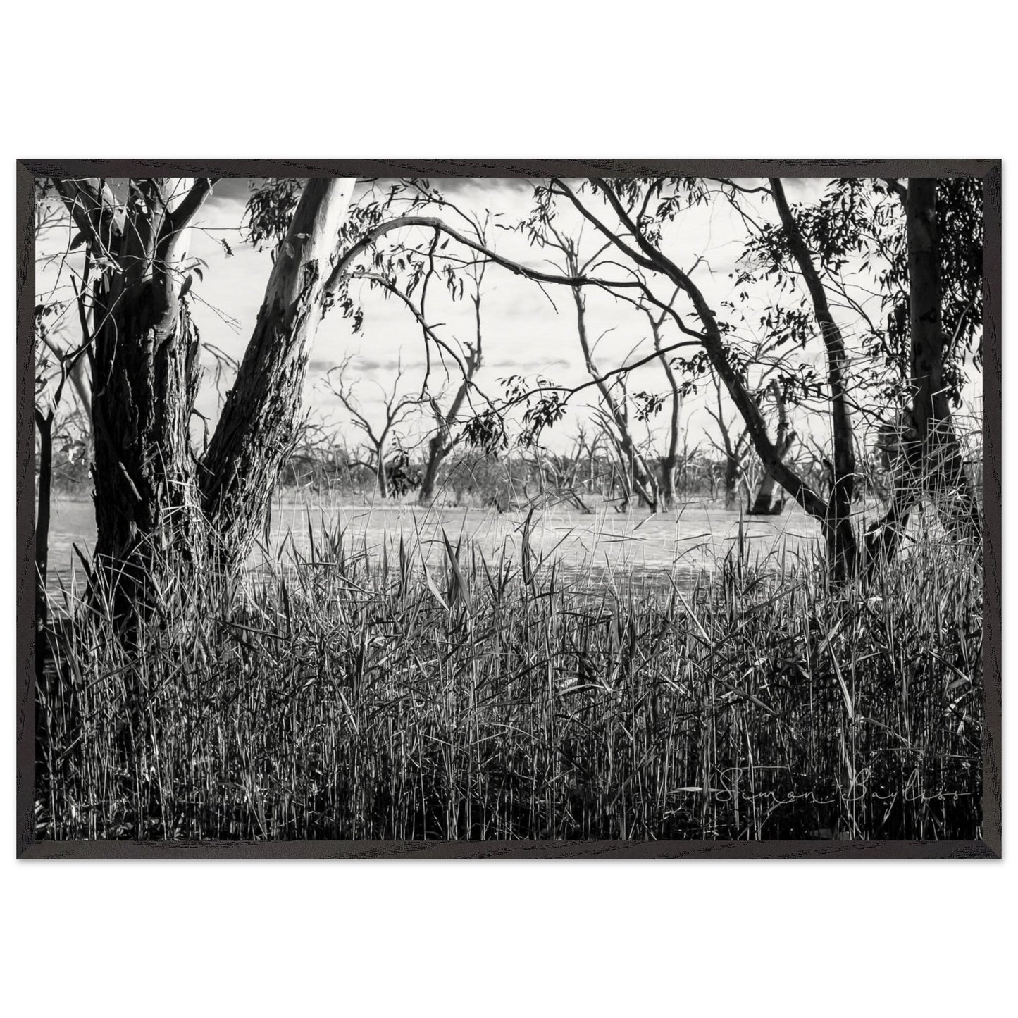 4826990d-ee5b-48fd-a64c-8f9cb2803e9f