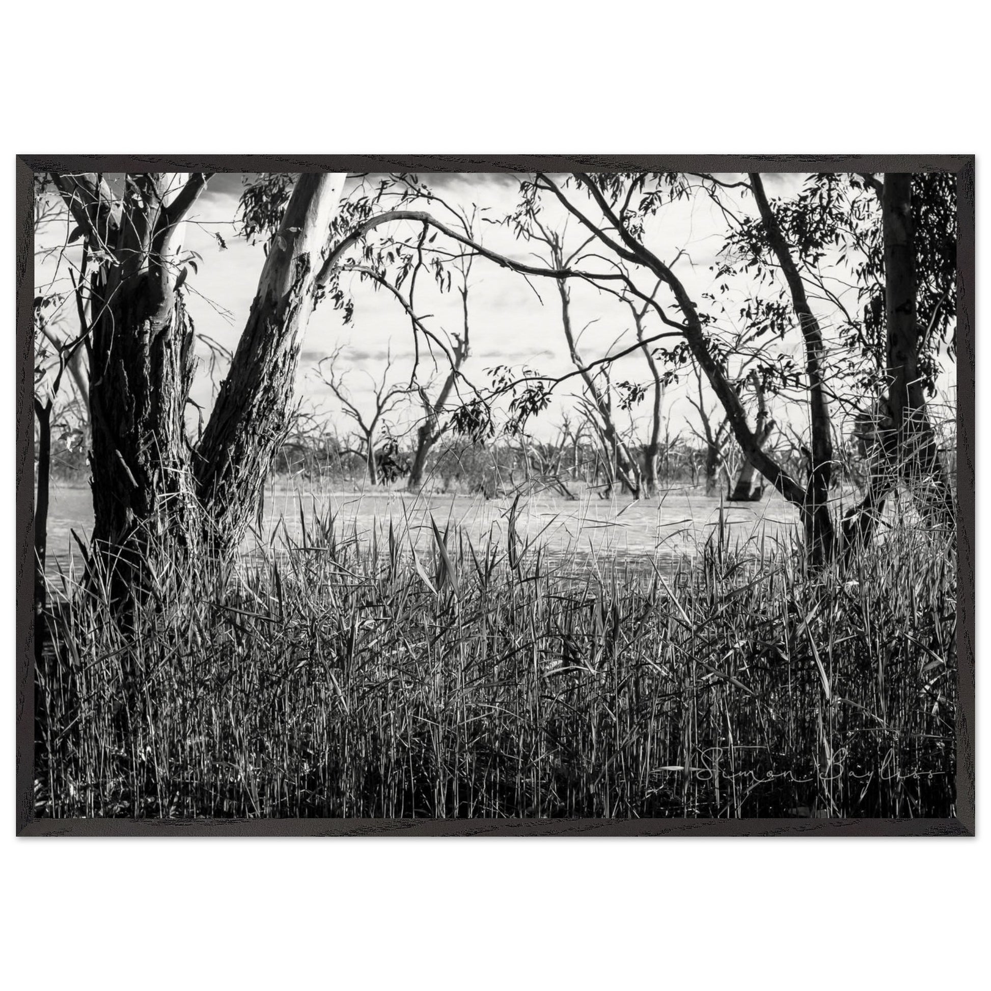 4826990d-ee5b-48fd-a64c-8f9cb2803e9f