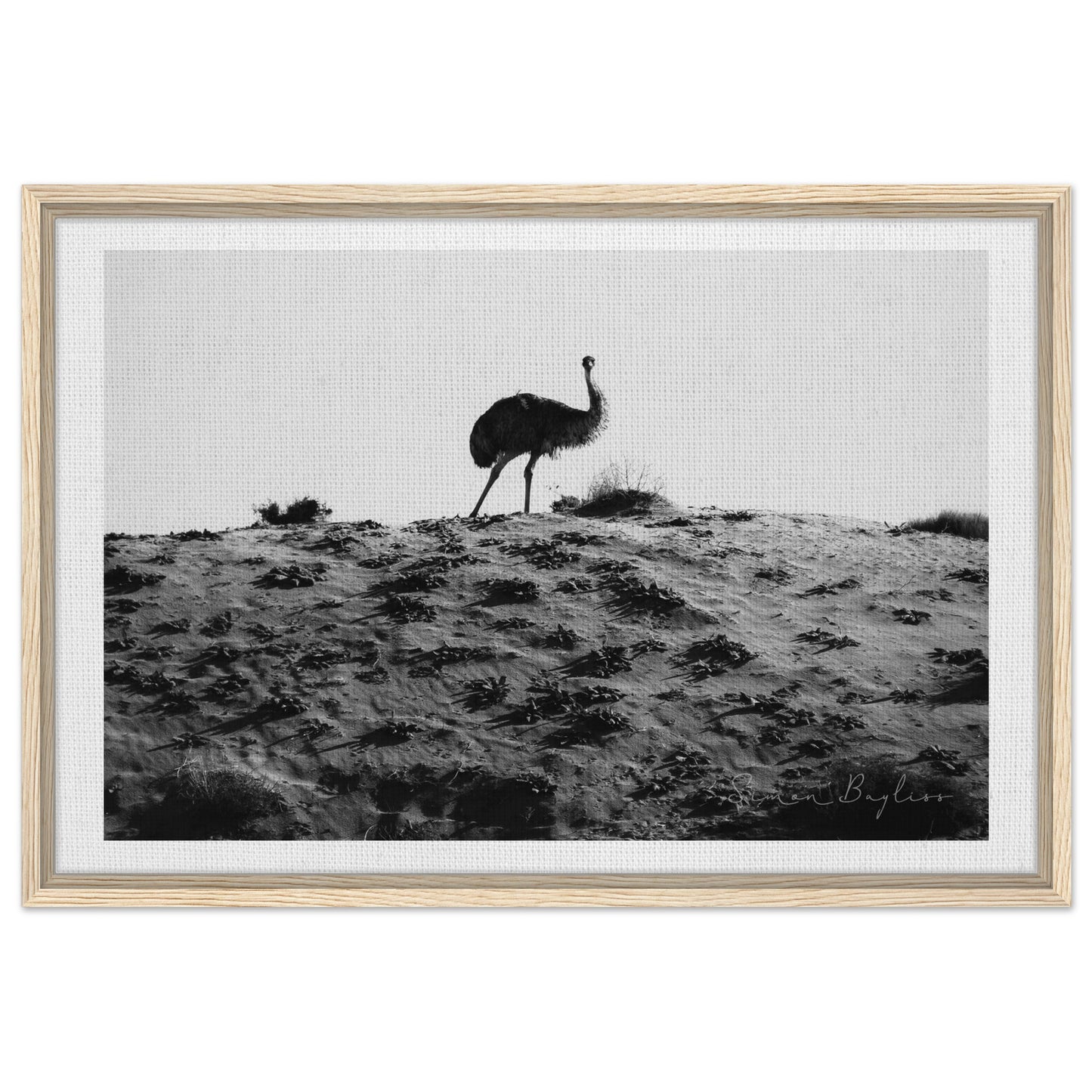 48ac00cd-13c3-4e5b-8413-ffd429ef7da0