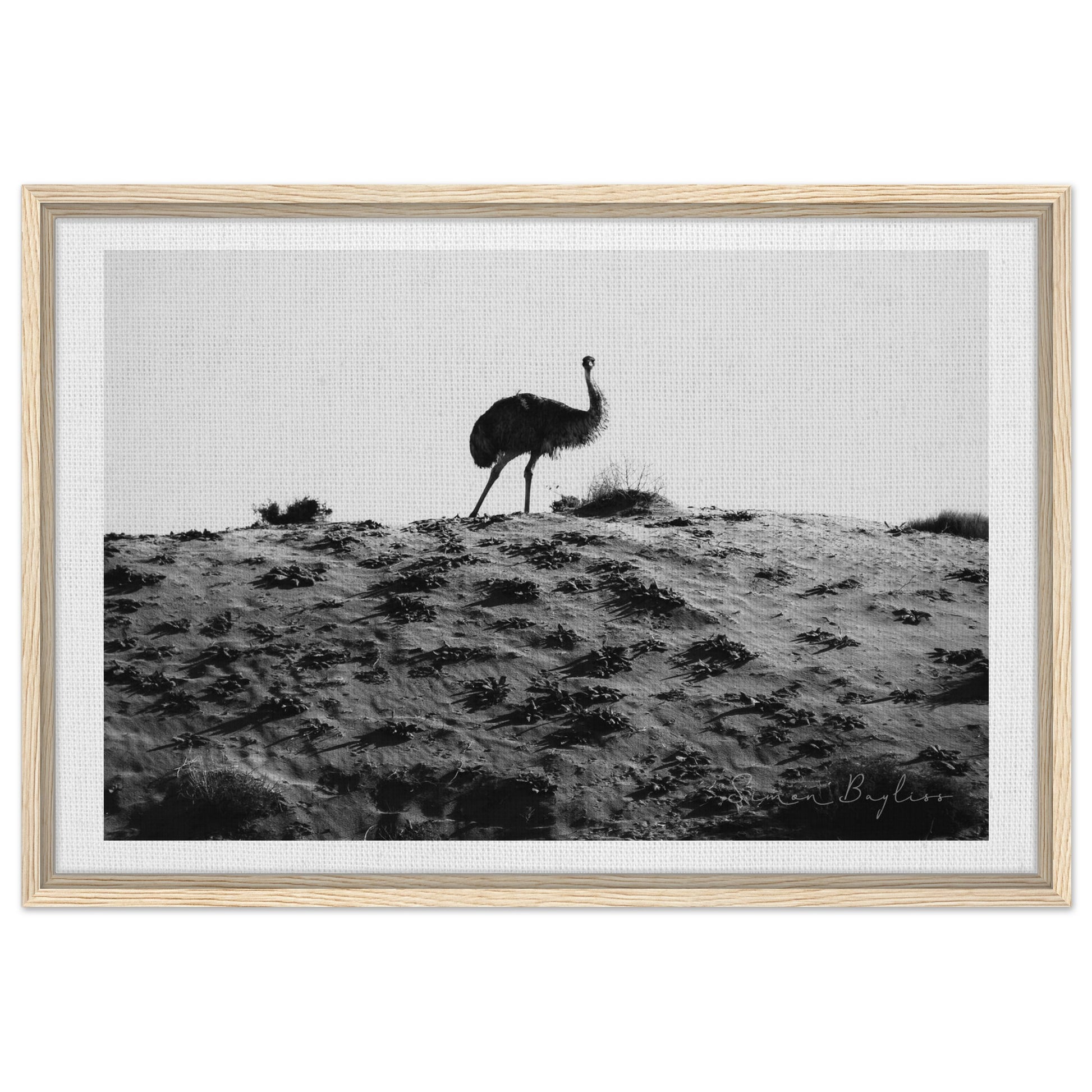 48ac00cd-13c3-4e5b-8413-ffd429ef7da0