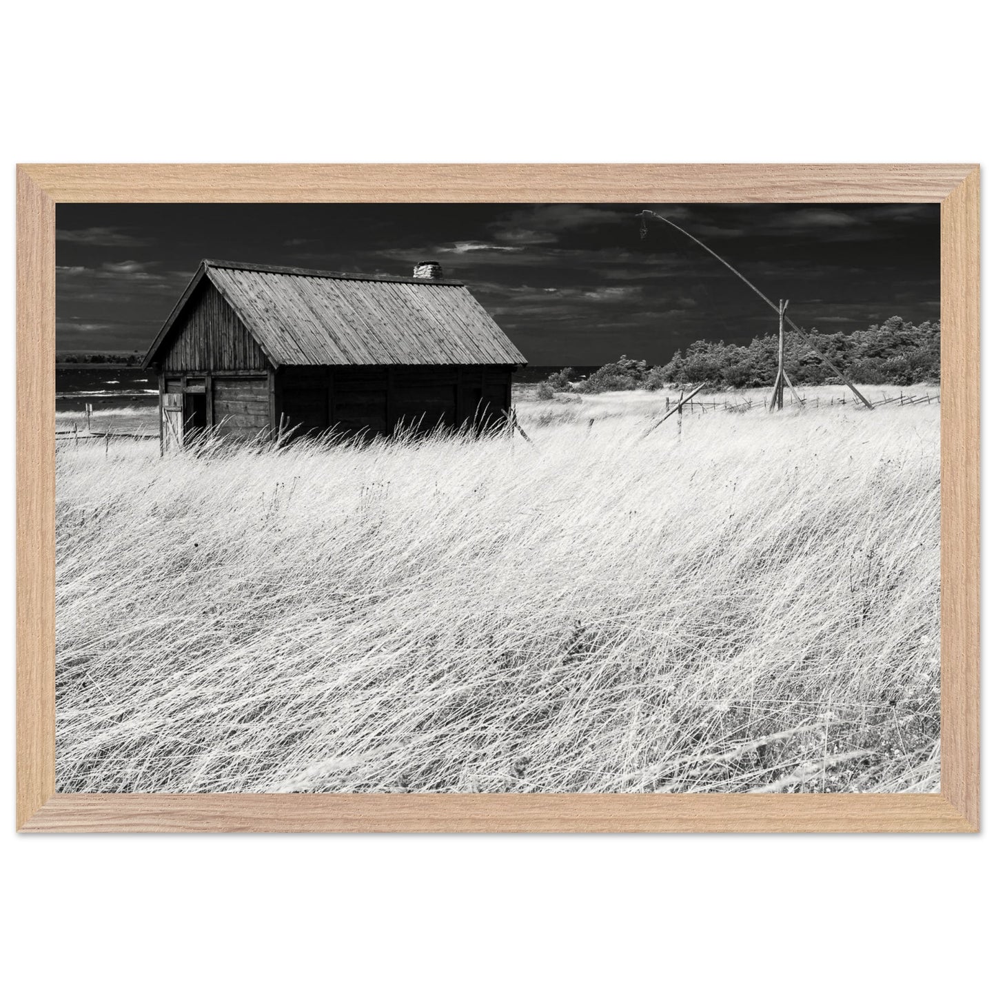 48e53a65-5e19-456e-a3e6-a941c28a6ad7