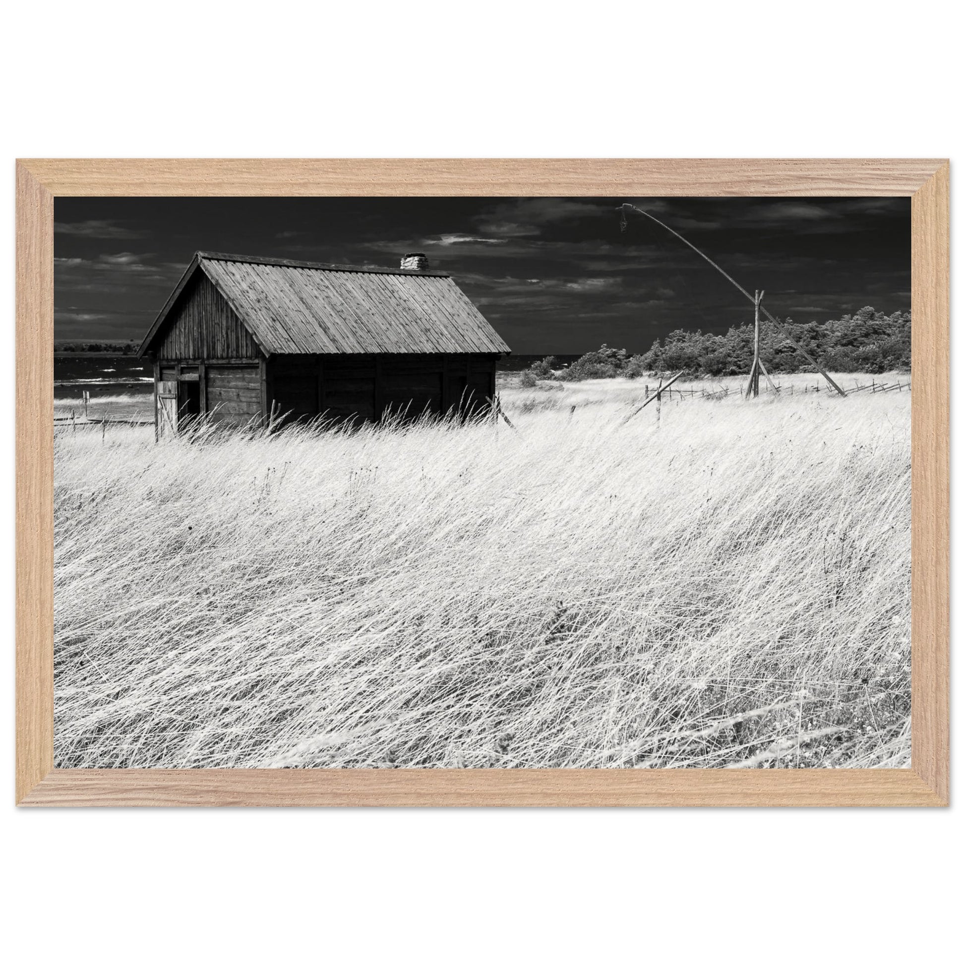 48e53a65-5e19-456e-a3e6-a941c28a6ad7